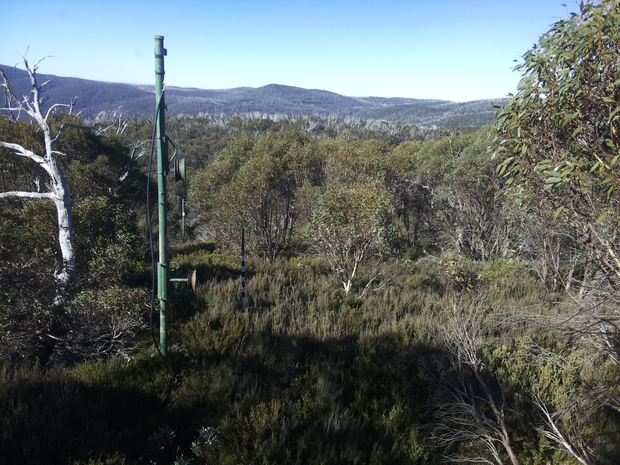Bogong Web Cam 10:40am Saturday 10th of May 2025