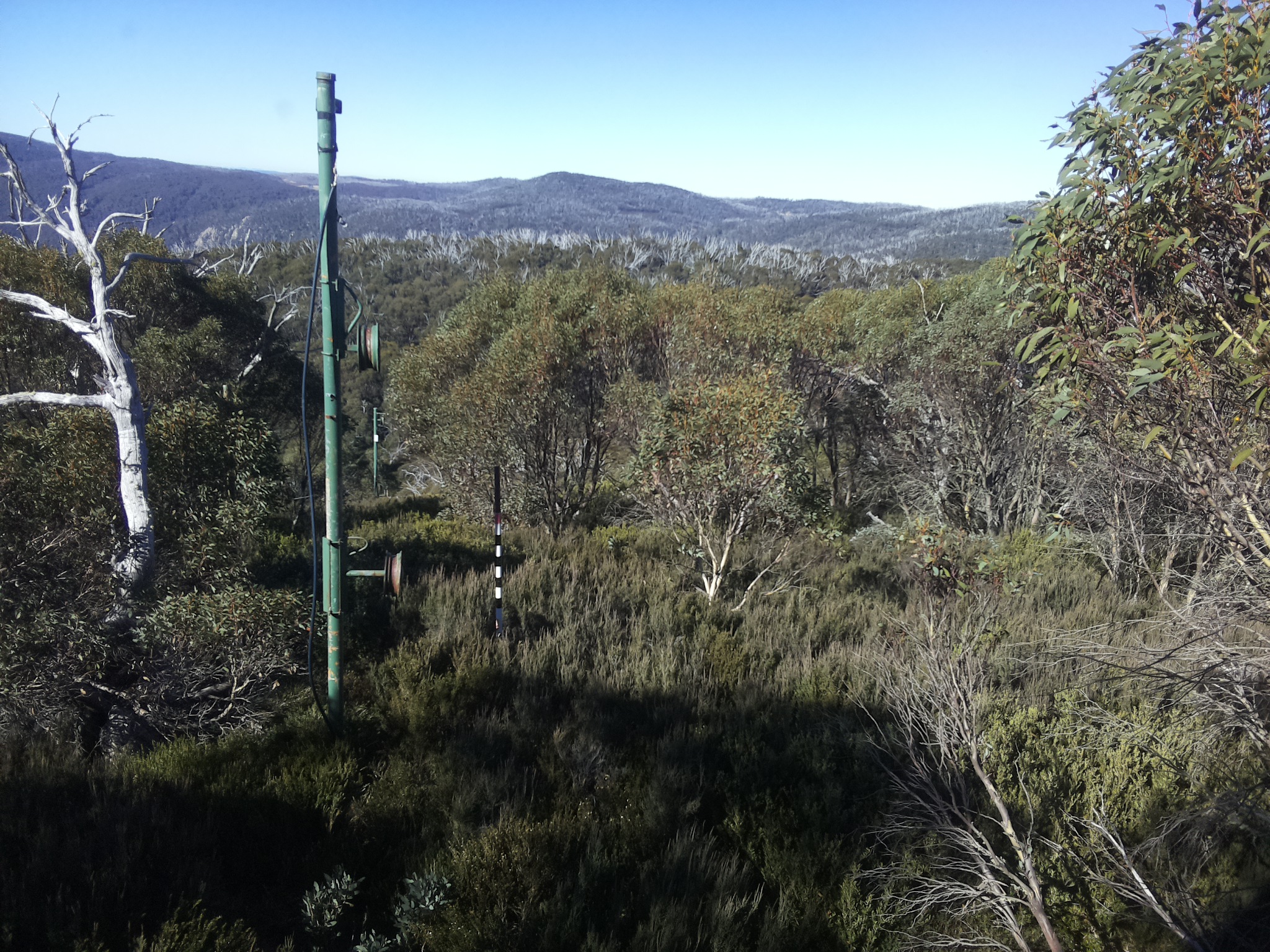 Bogong Web Cam 10:50am Saturday 10th of May 2025