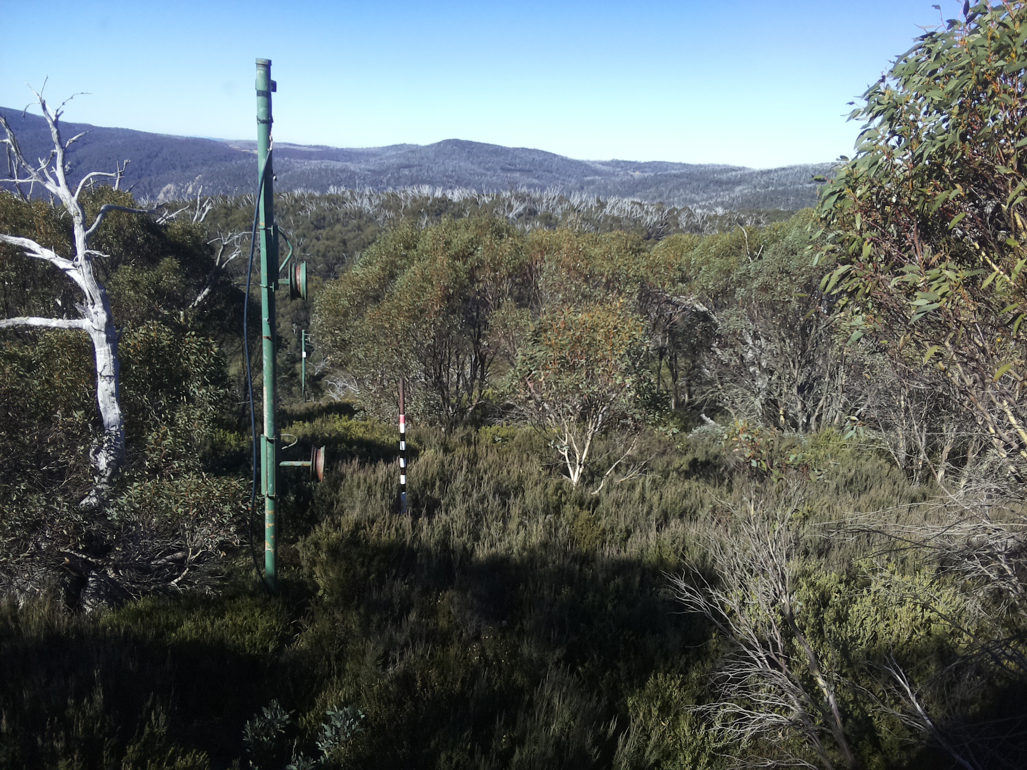 Bogong Web Cam 11:00am Saturday 10th of May 2025