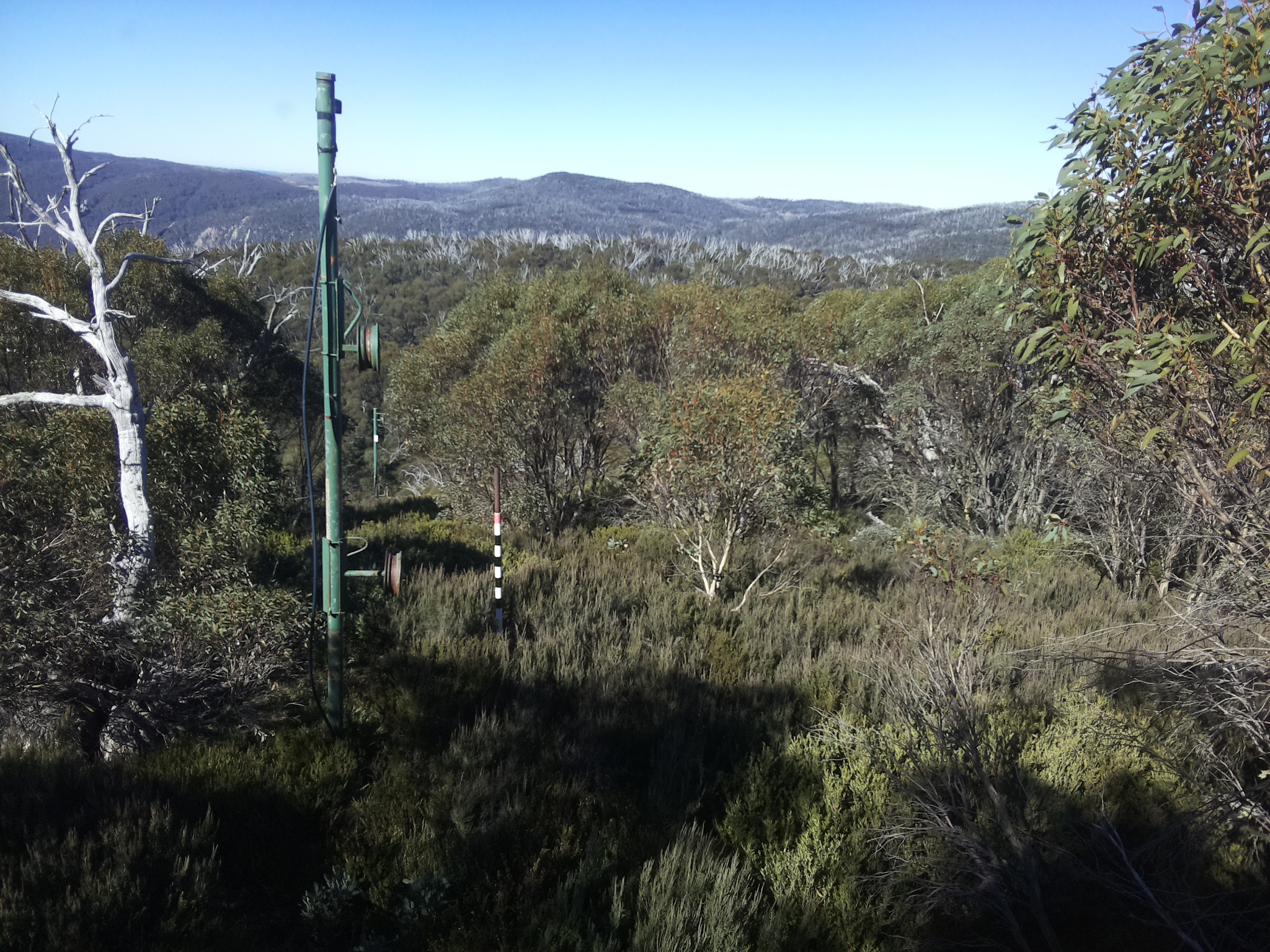 Bogong Web Cam 11:20am Saturday 10th of May 2025