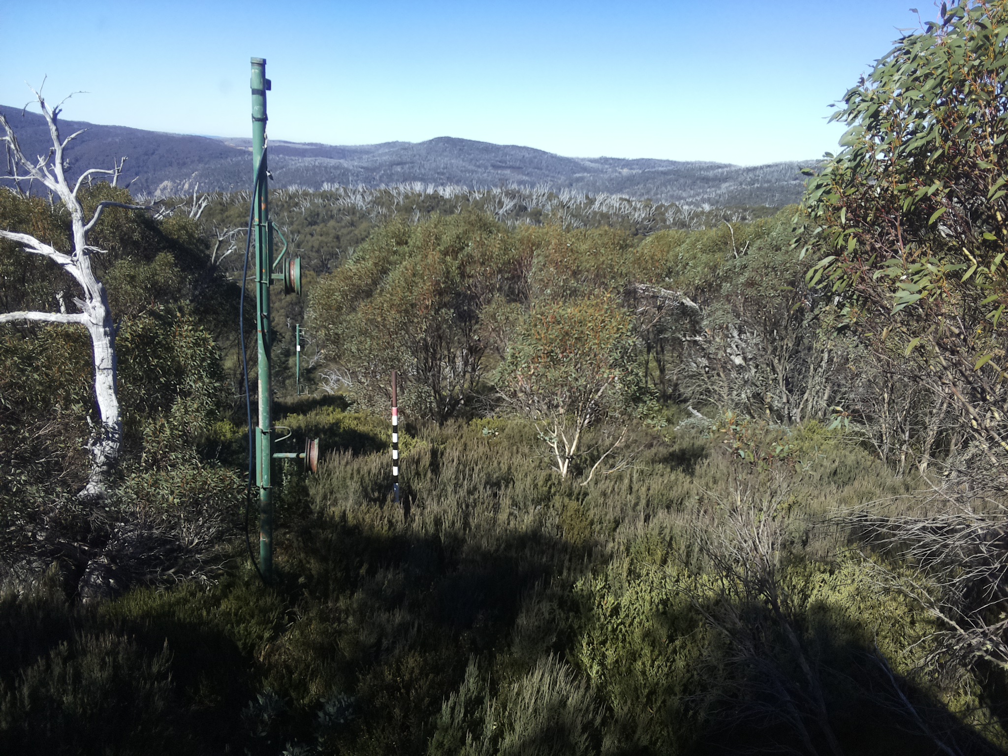 Bogong Web Cam 11:30am Saturday 10th of May 2025