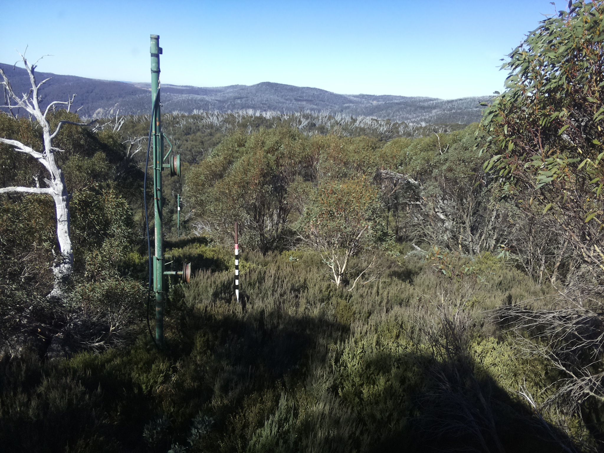 Bogong Web Cam 11:40am Saturday 10th of May 2025