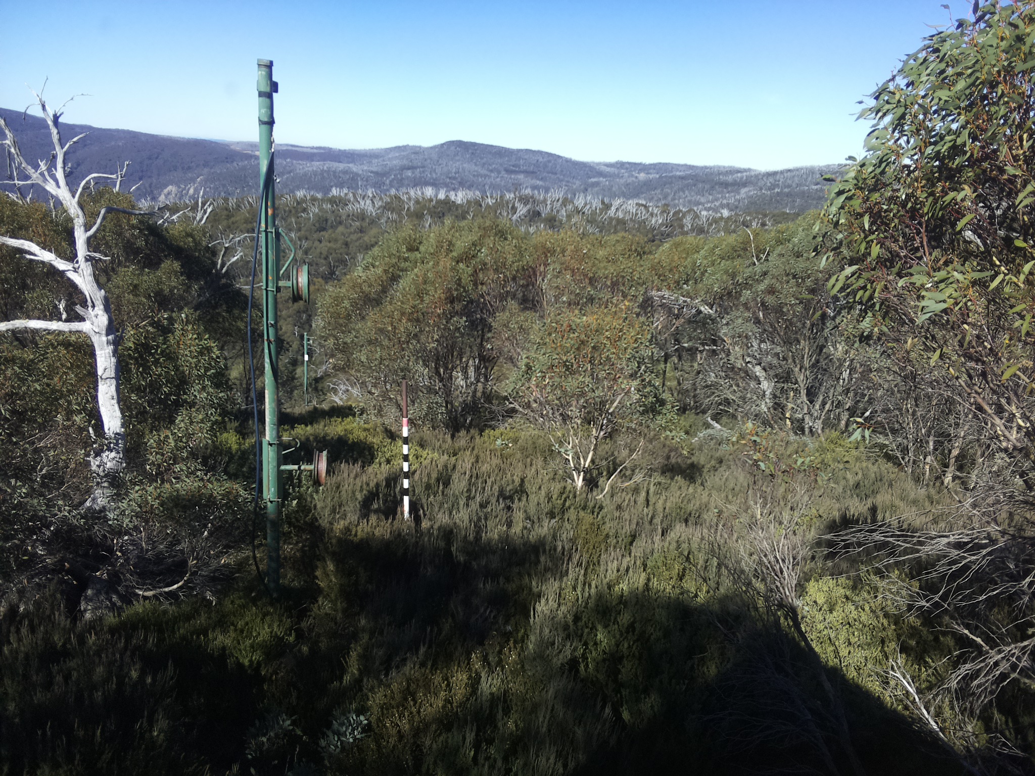 Bogong Web Cam 11:50am Saturday 10th of May 2025