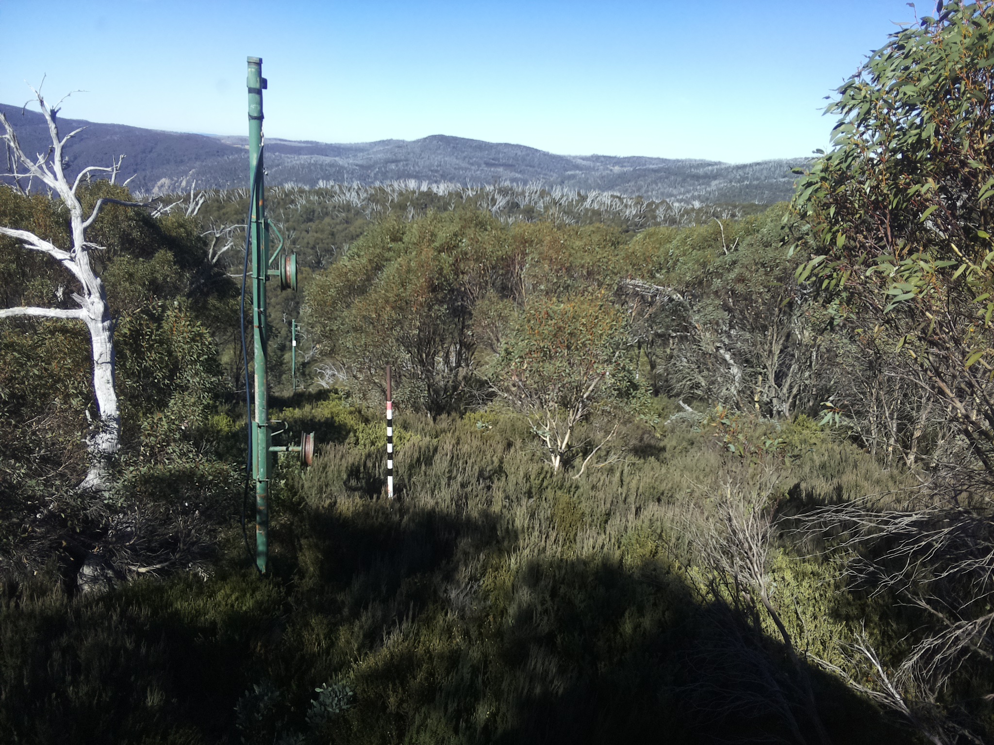 Bogong Web Cam 12:00pm Saturday 10th of May 2025