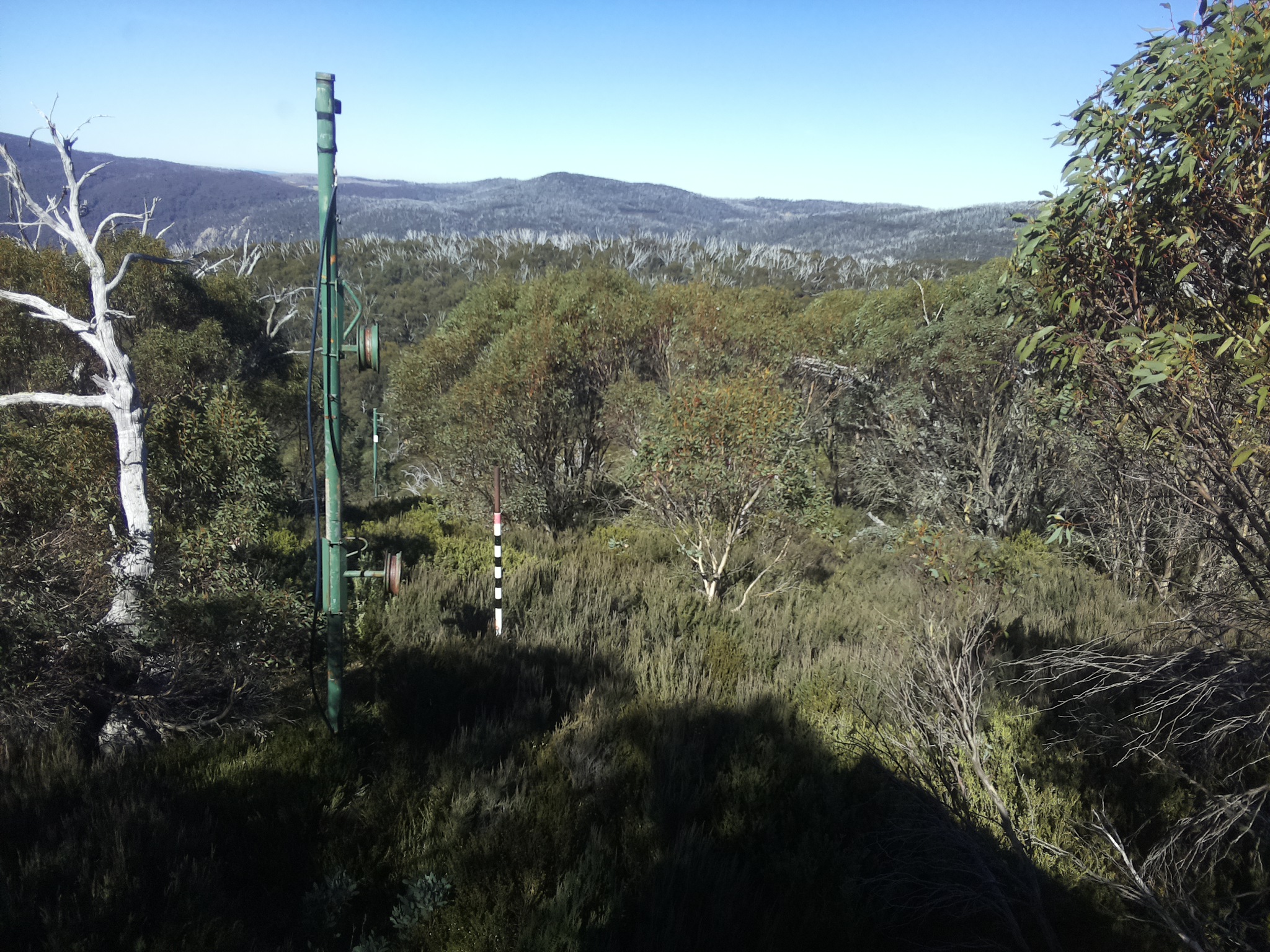 Bogong Web Cam 12:10pm Saturday 10th of May 2025