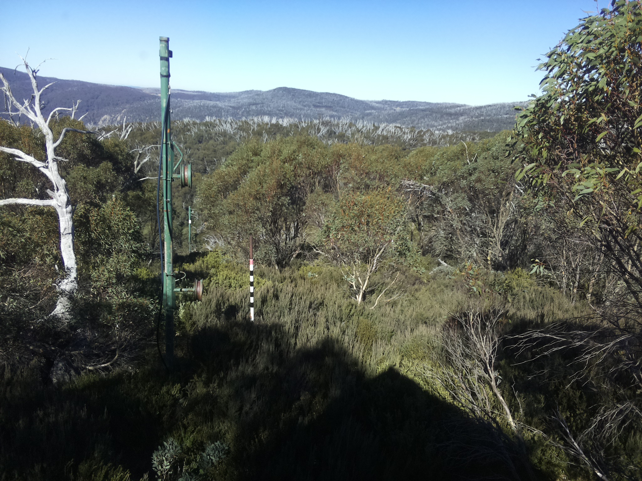 Bogong Web Cam 12:30pm Saturday 10th of May 2025