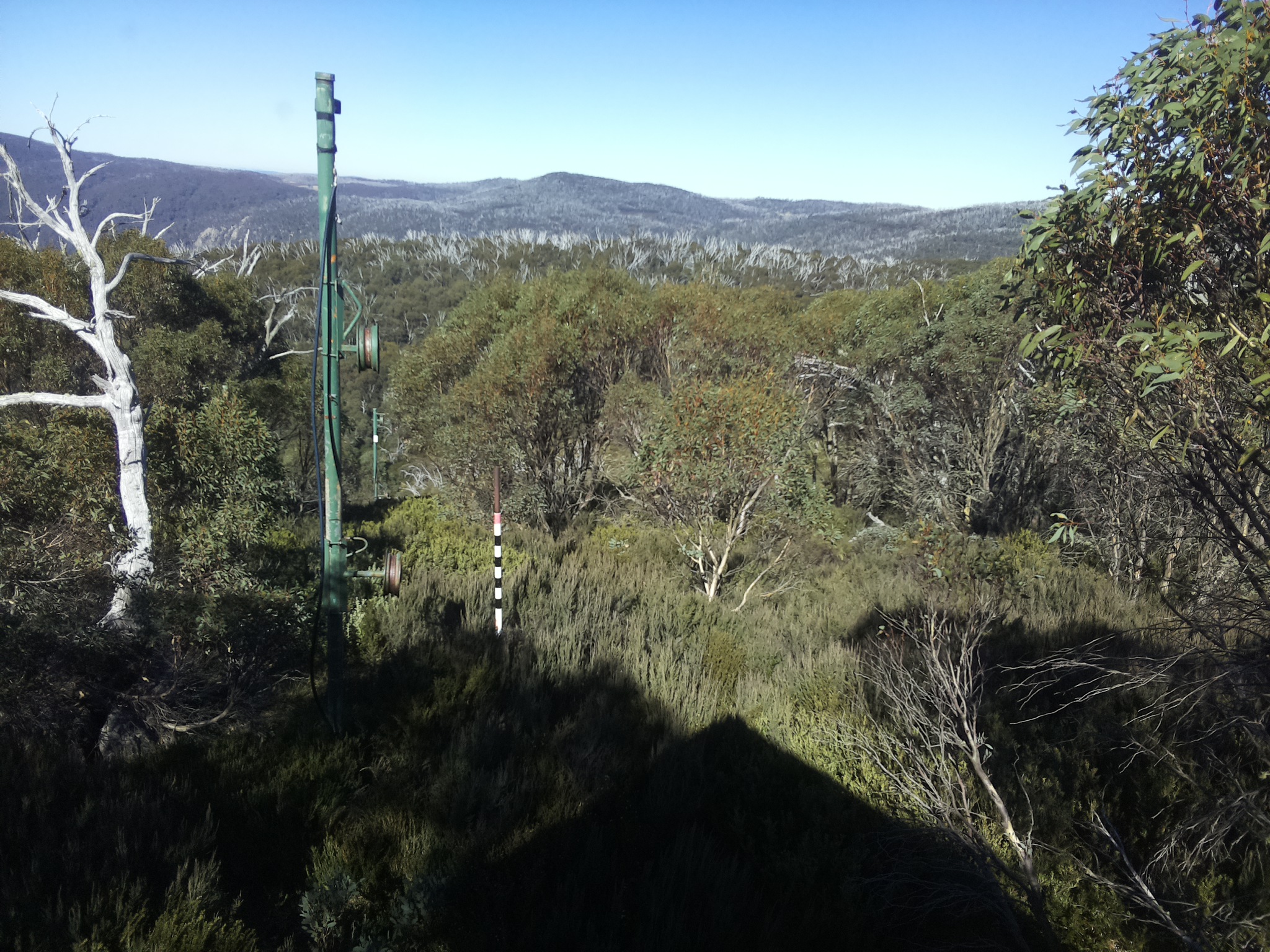 Bogong Web Cam 12:40pm Saturday 10th of May 2025