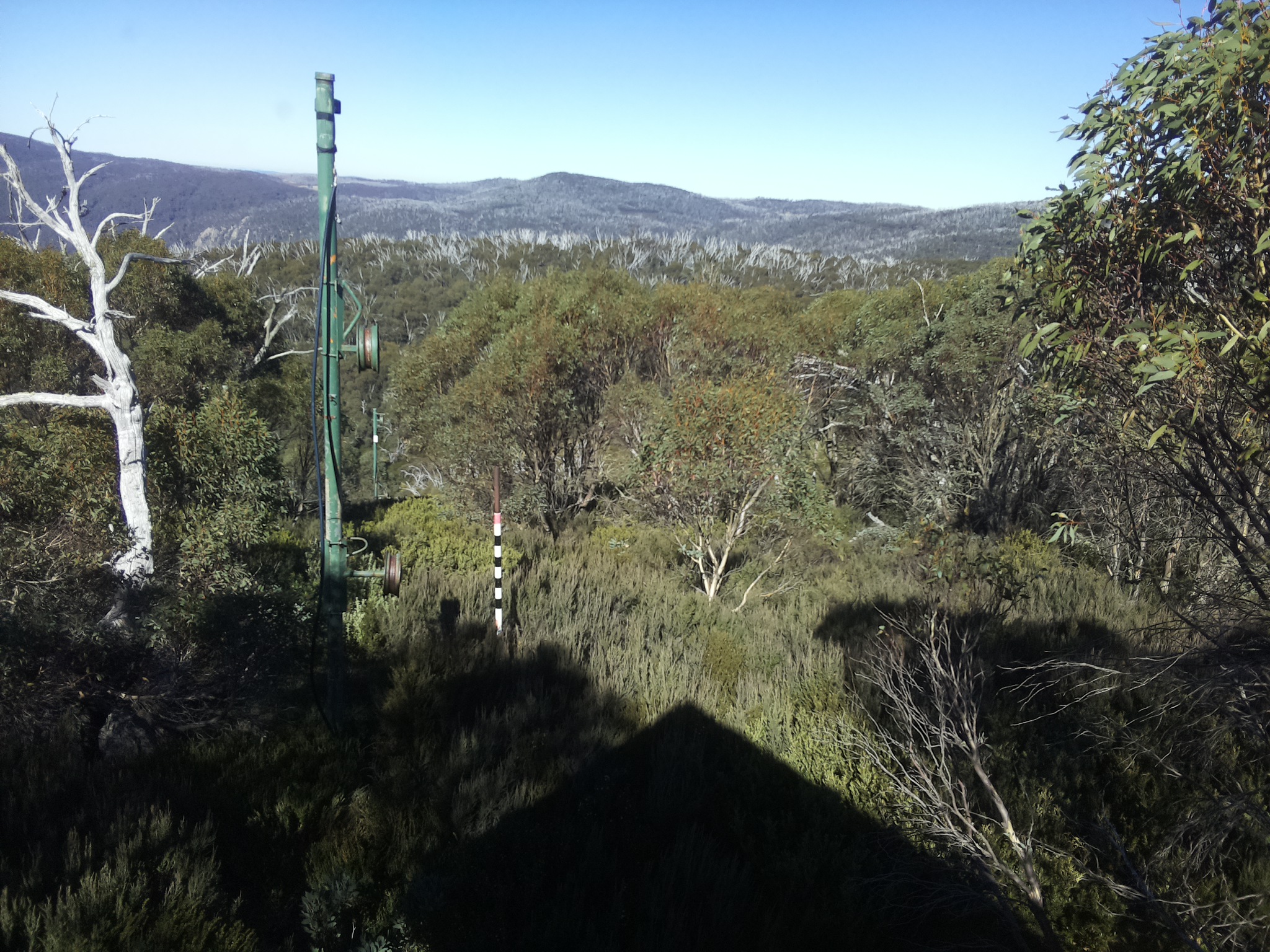 Bogong Web Cam 12:50pm Saturday 10th of May 2025