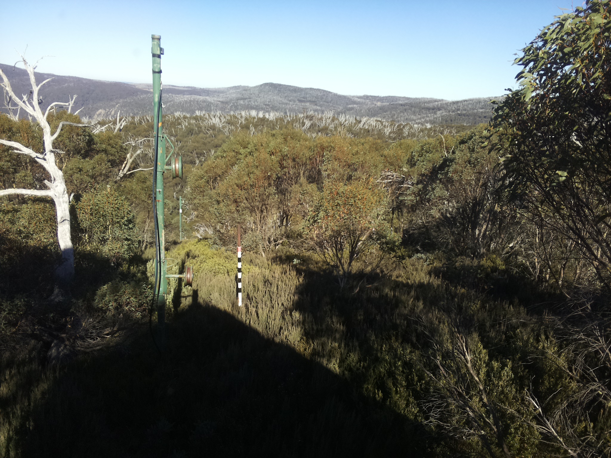 Bogong Web Cam 2:00pm Saturday 10th of May 2025