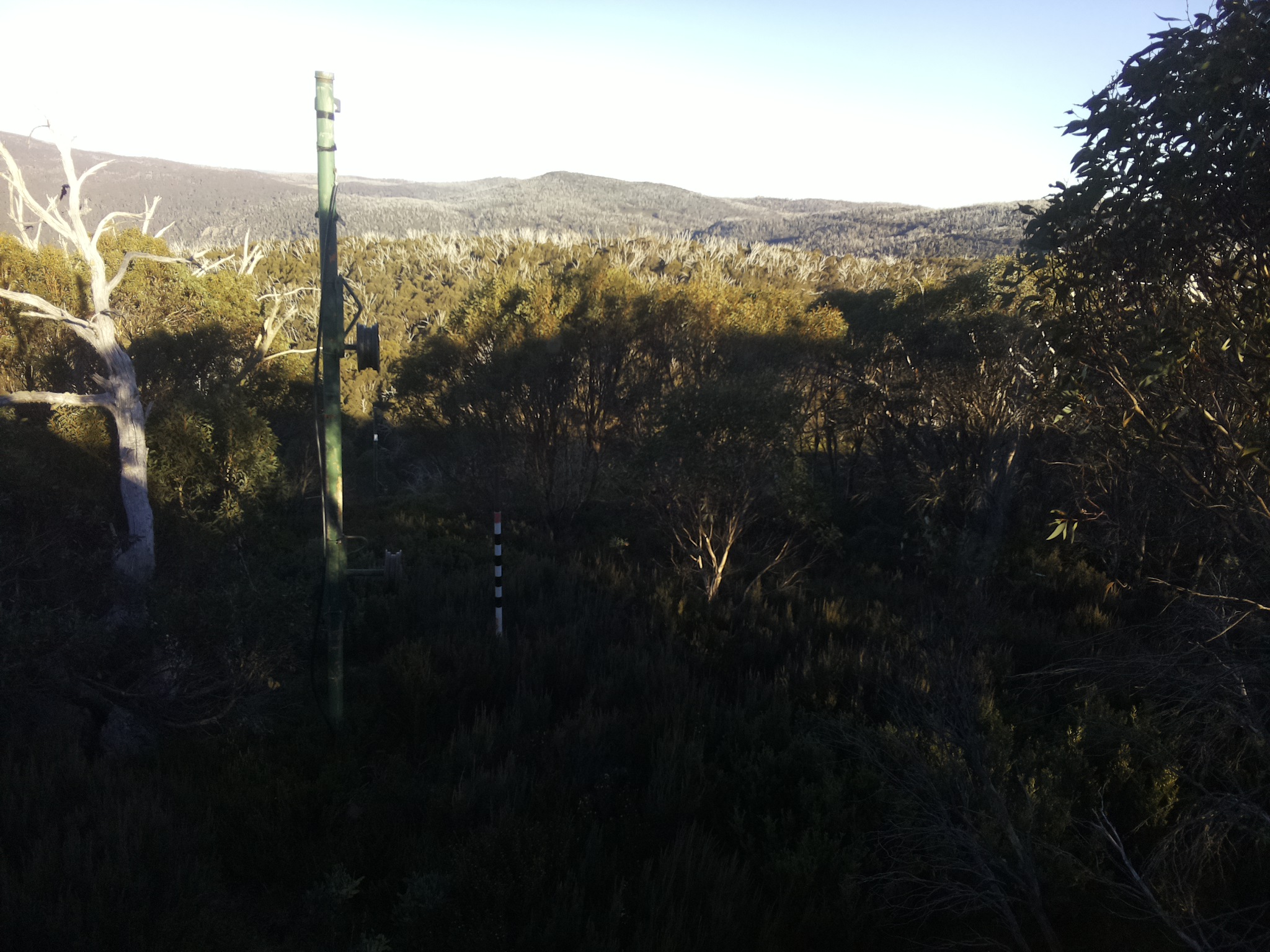 Bogong Web Cam 4:00pm Saturday 10th of May 2025
