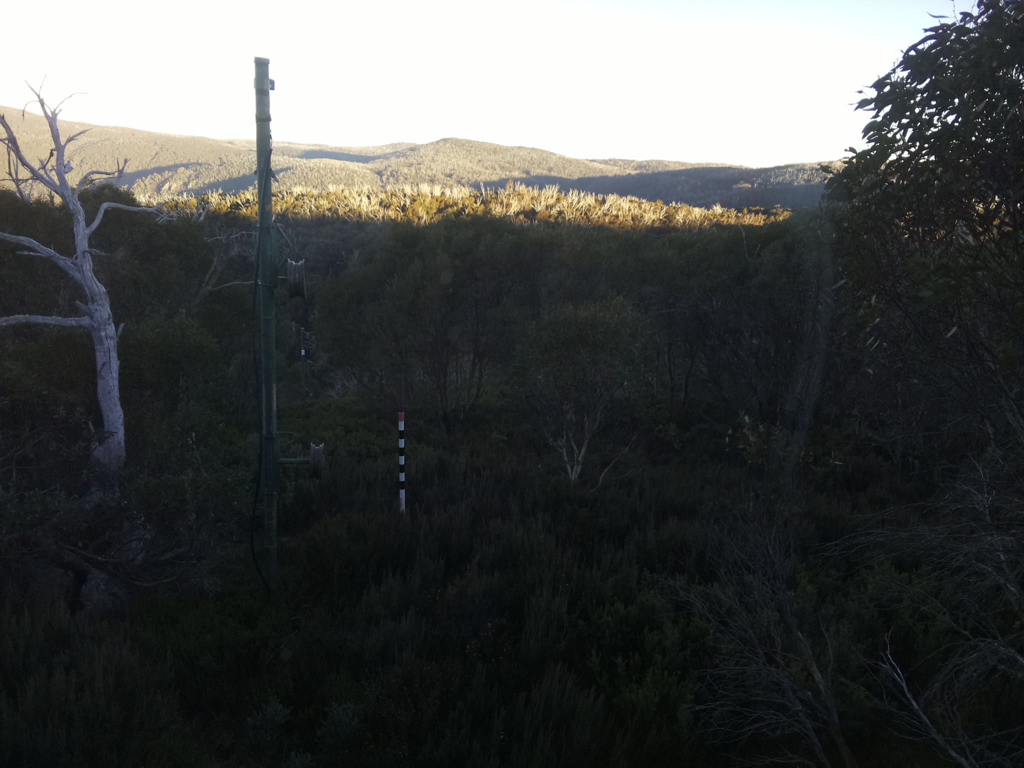 Bogong Web Cam 4:40pm Saturday 10th of May 2025
