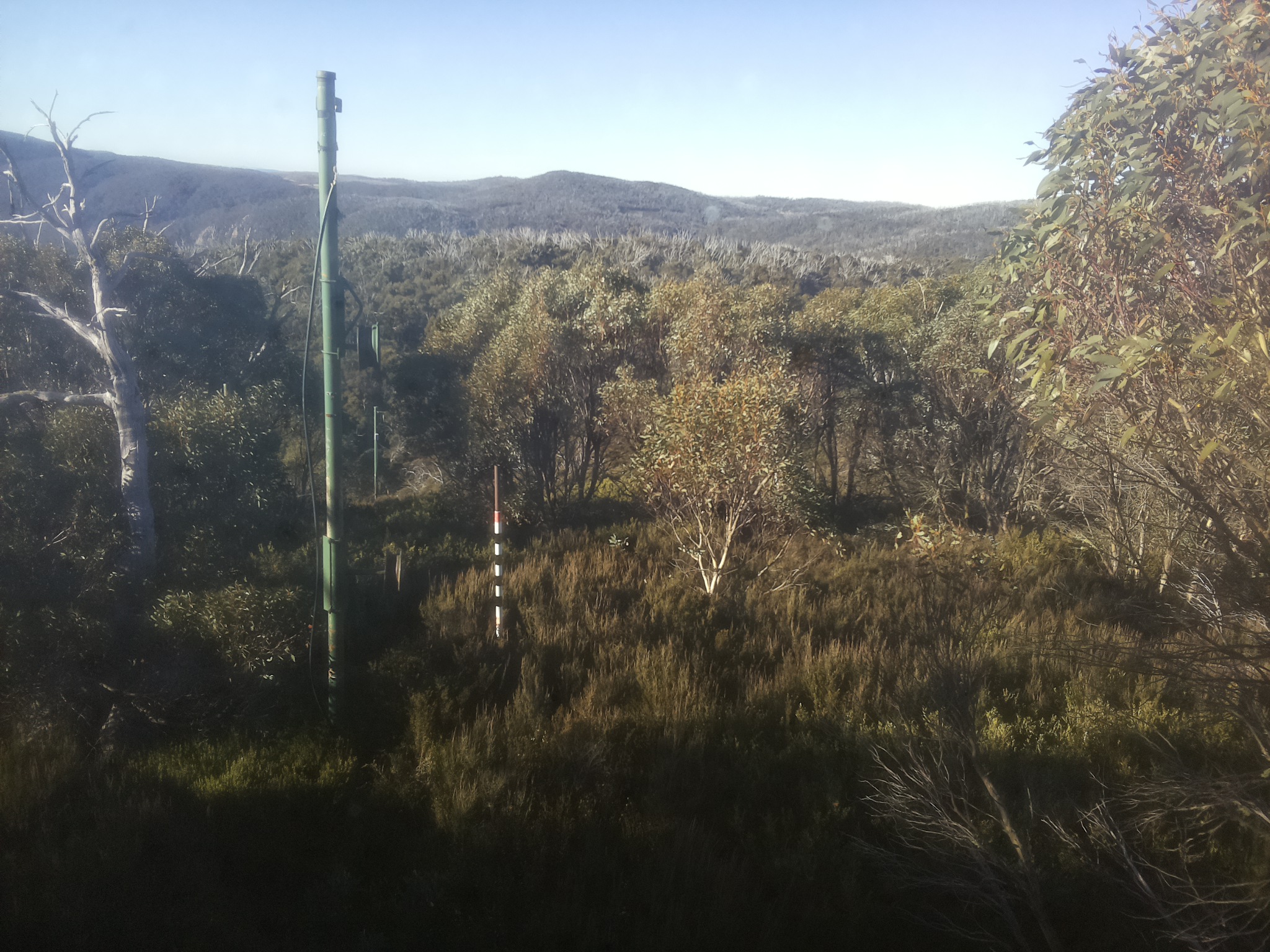Bogong Web Cam 8:50am Sunday 11th of May 2025