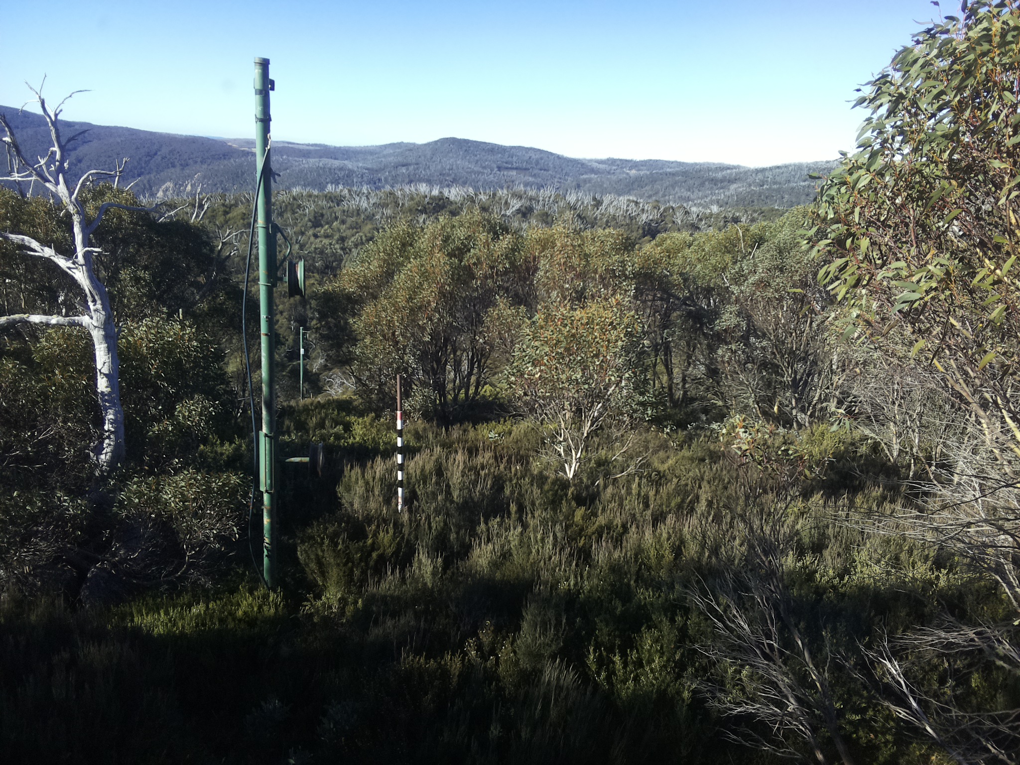 Bogong Web Cam 9:30am Sunday 11th of May 2025