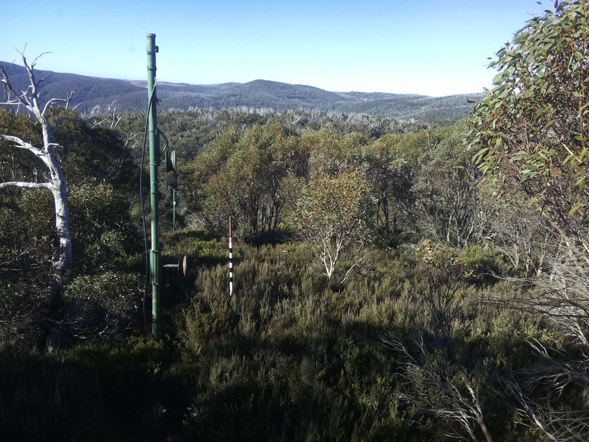 Bogong Web Cam 9:50am Sunday 11th of May 2025