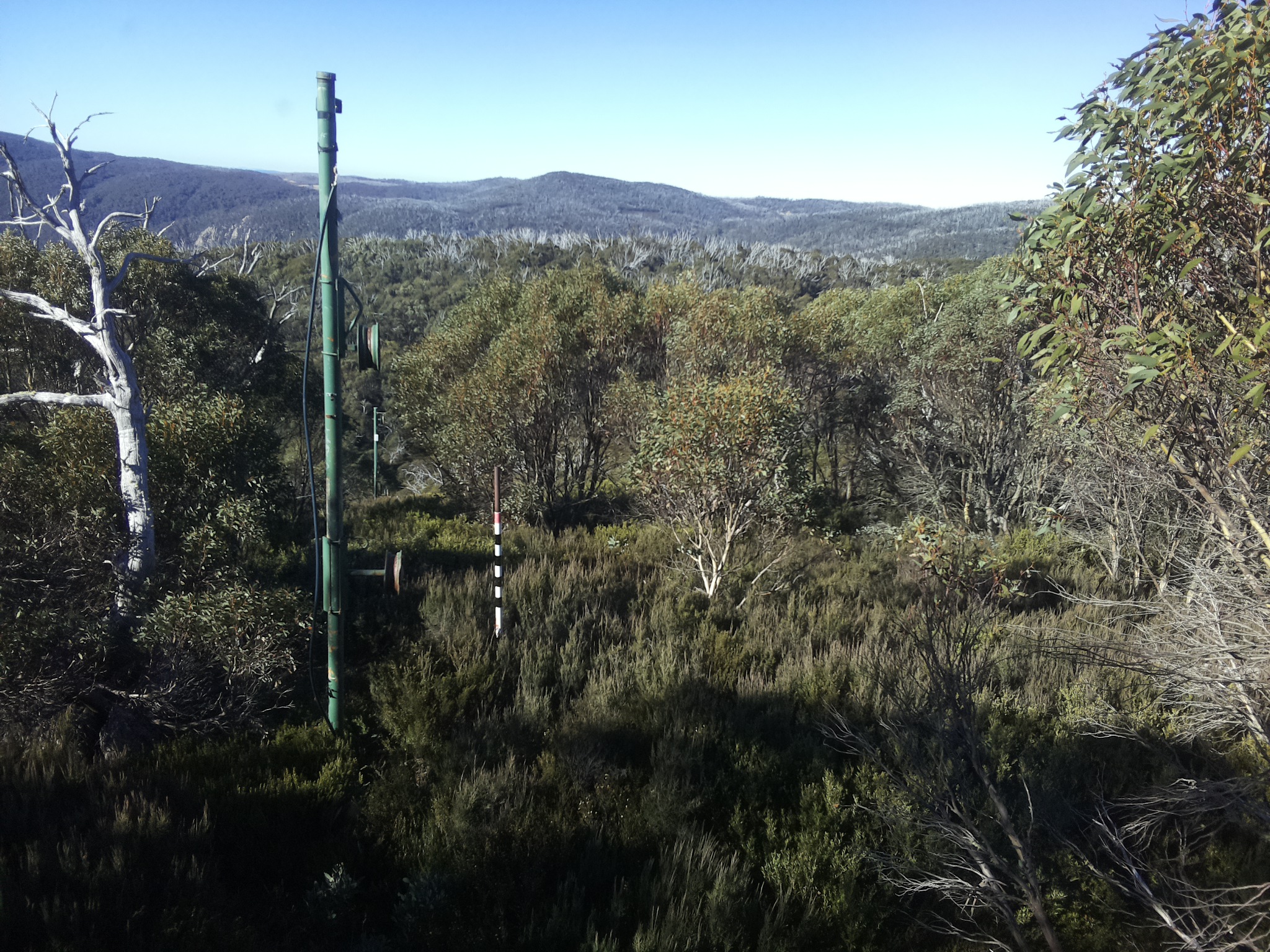 Bogong Web Cam 10:00am Sunday 11th of May 2025