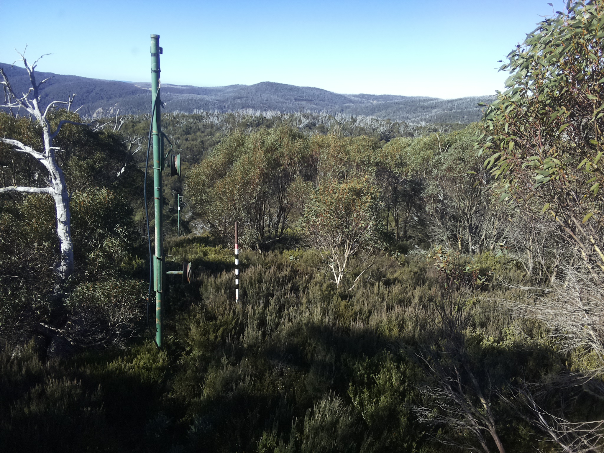 Bogong Web Cam 10:10am Sunday 11th of May 2025