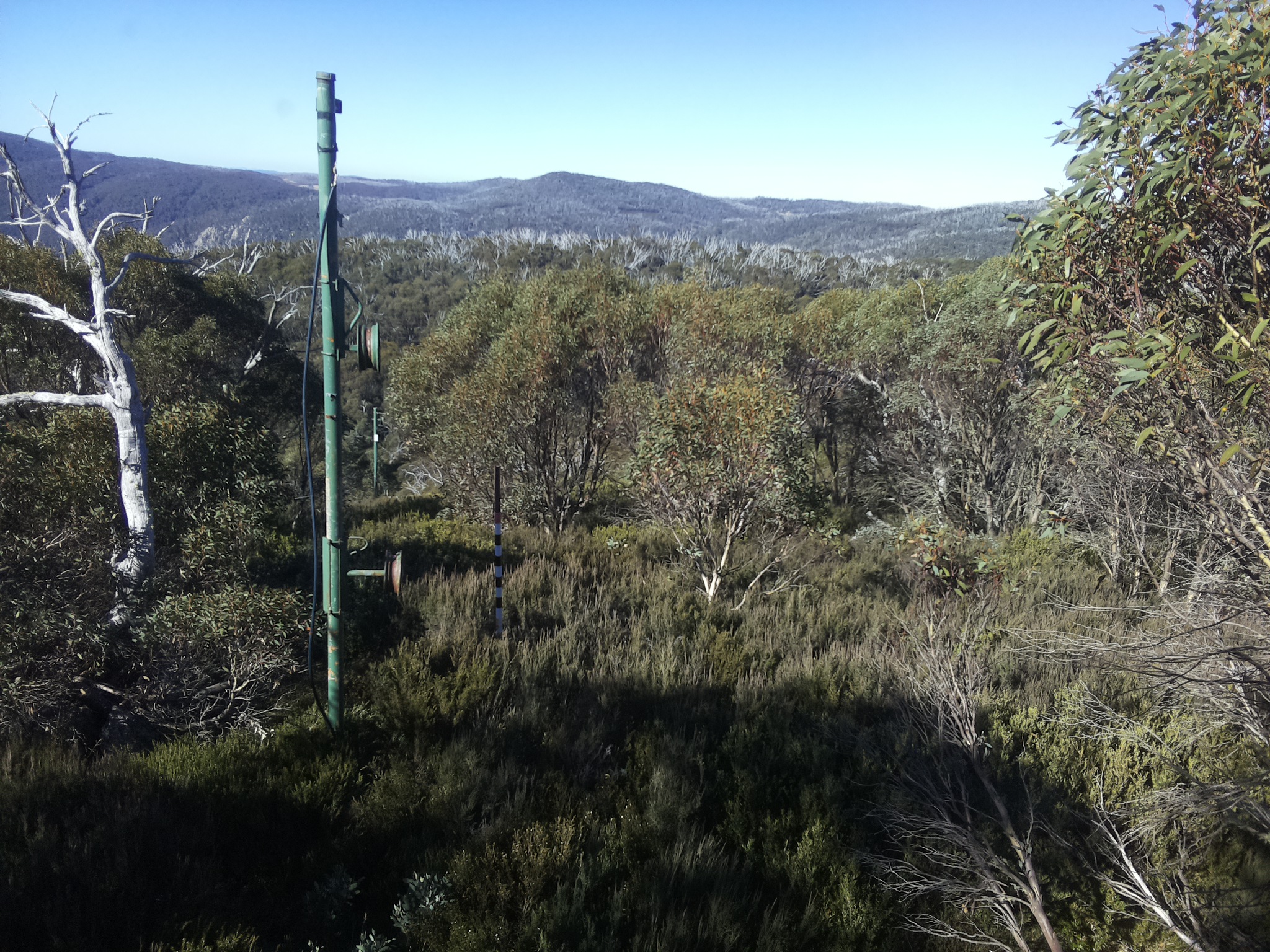 Bogong Web Cam 10:40am Sunday 11th of May 2025
