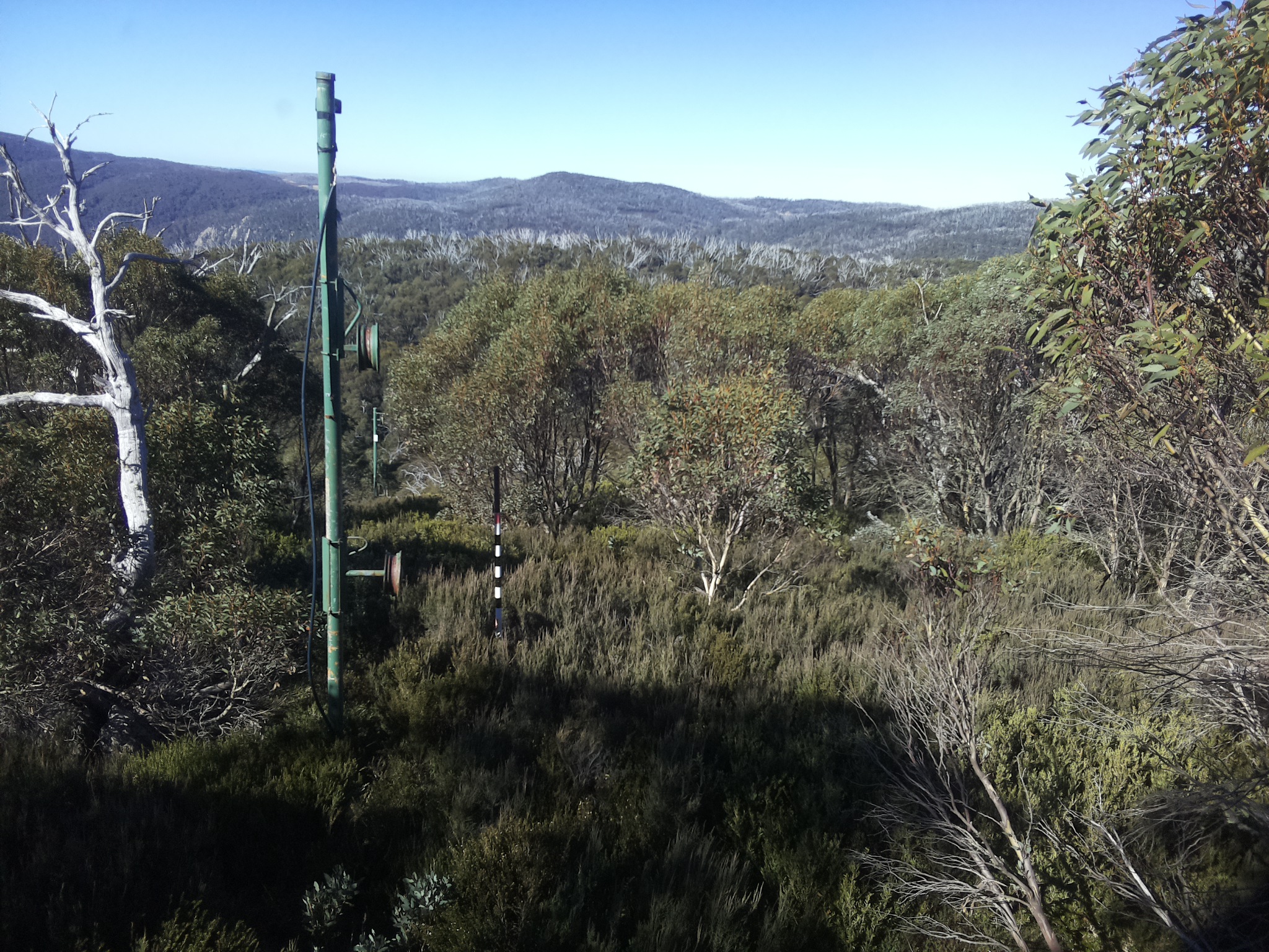 Bogong Web Cam 10:50am Sunday 11th of May 2025