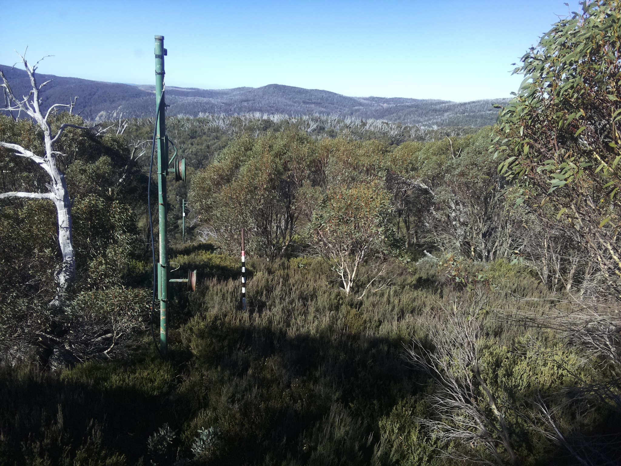 Bogong Web Cam 11:00am Sunday 11th of May 2025