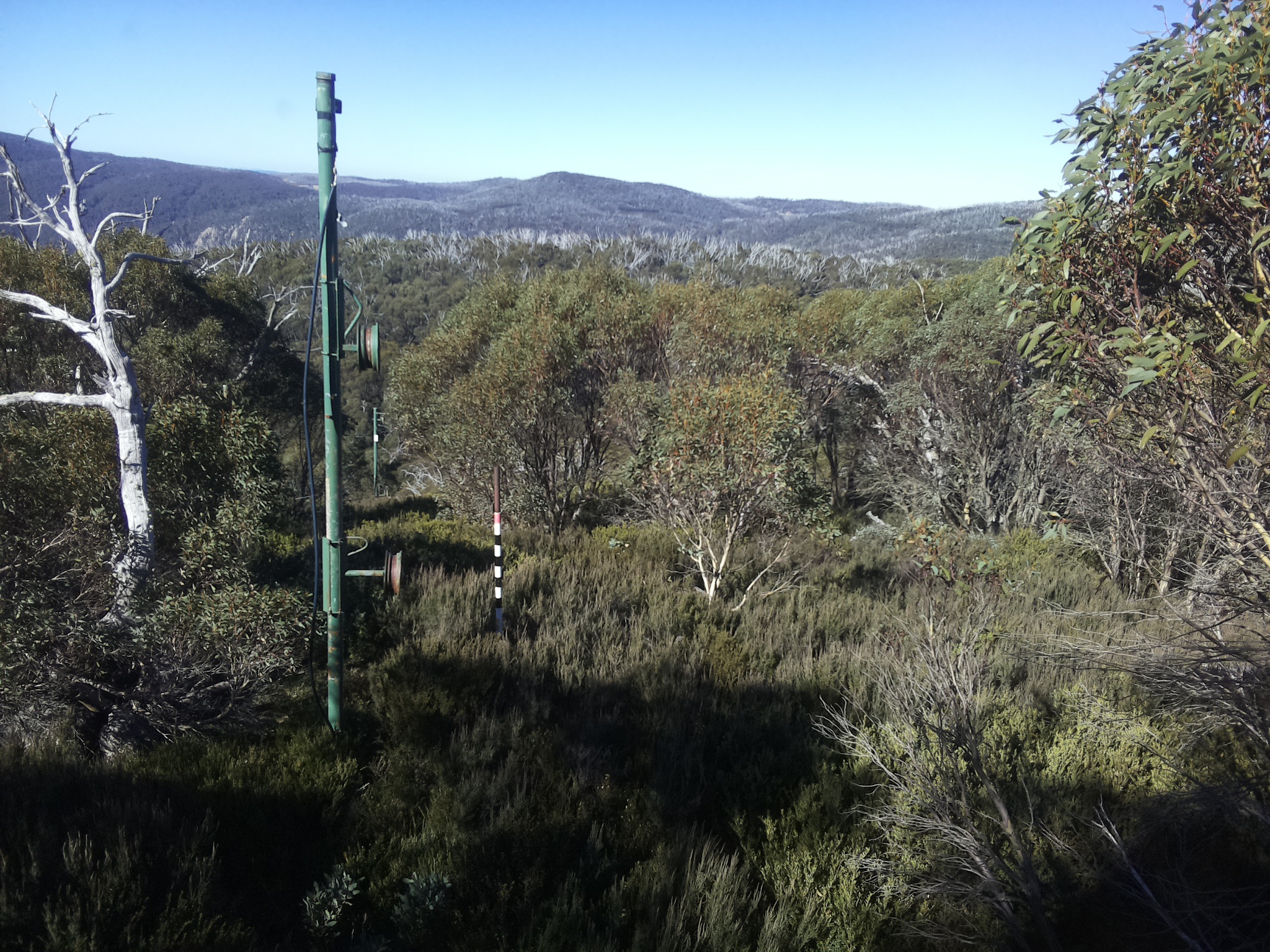 Bogong Web Cam 11:10am Sunday 11th of May 2025
