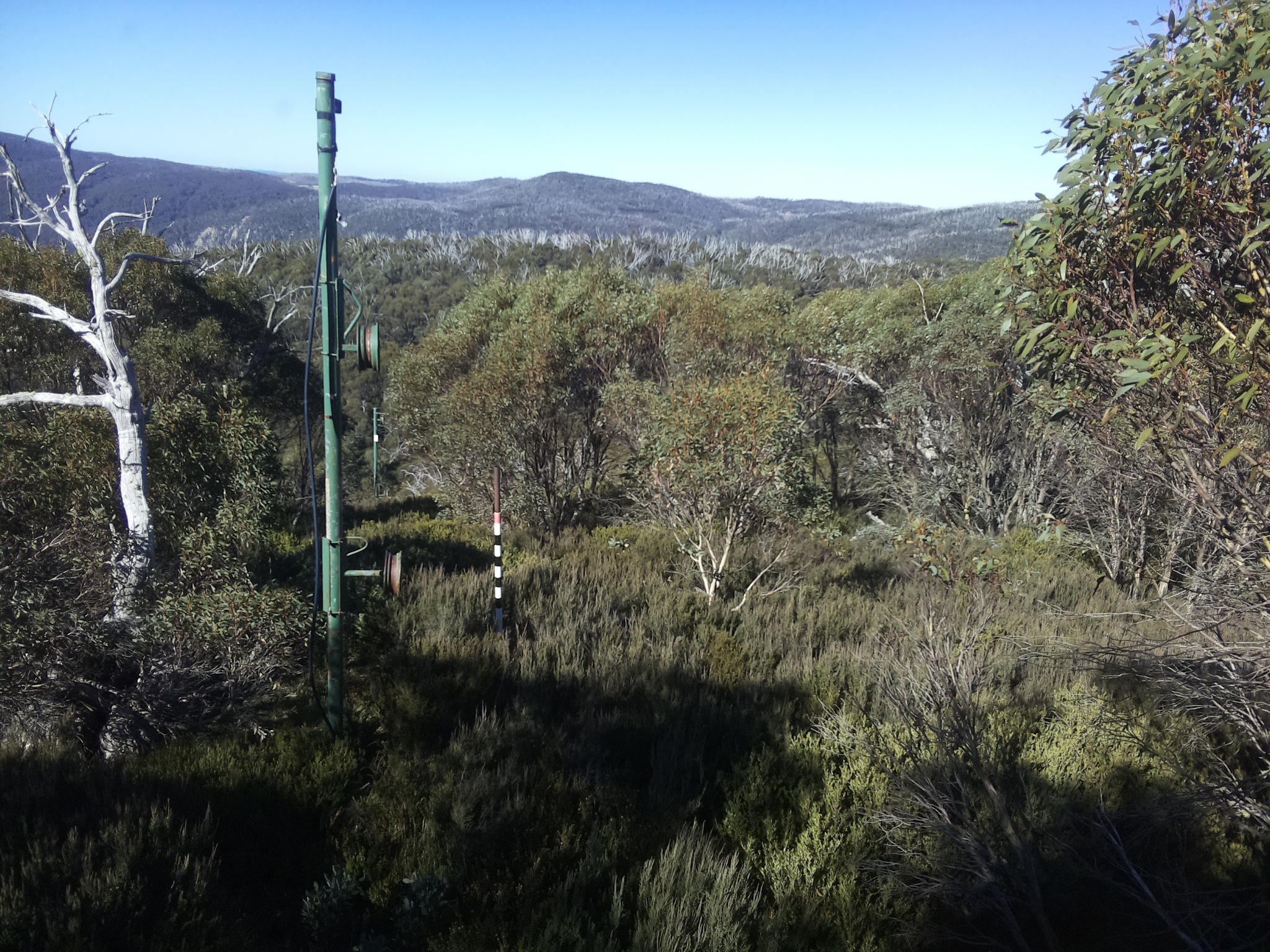 Bogong Web Cam 11:20am Sunday 11th of May 2025