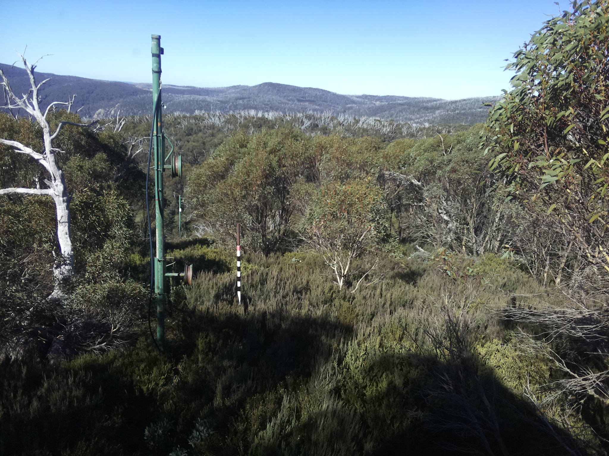 Bogong Web Cam 11:40am Sunday 11th of May 2025