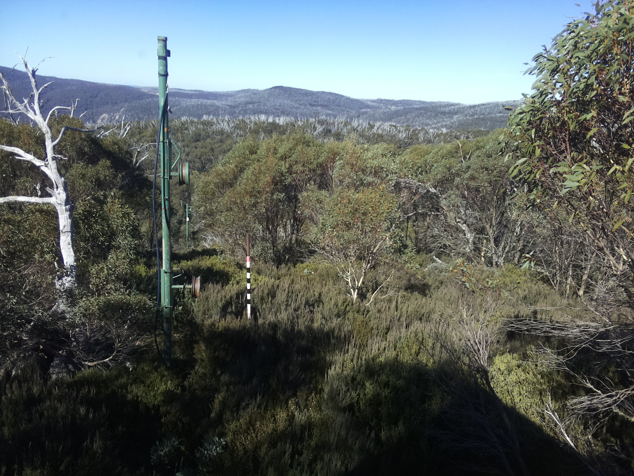 Bogong Web Cam 11:50am Sunday 11th of May 2025