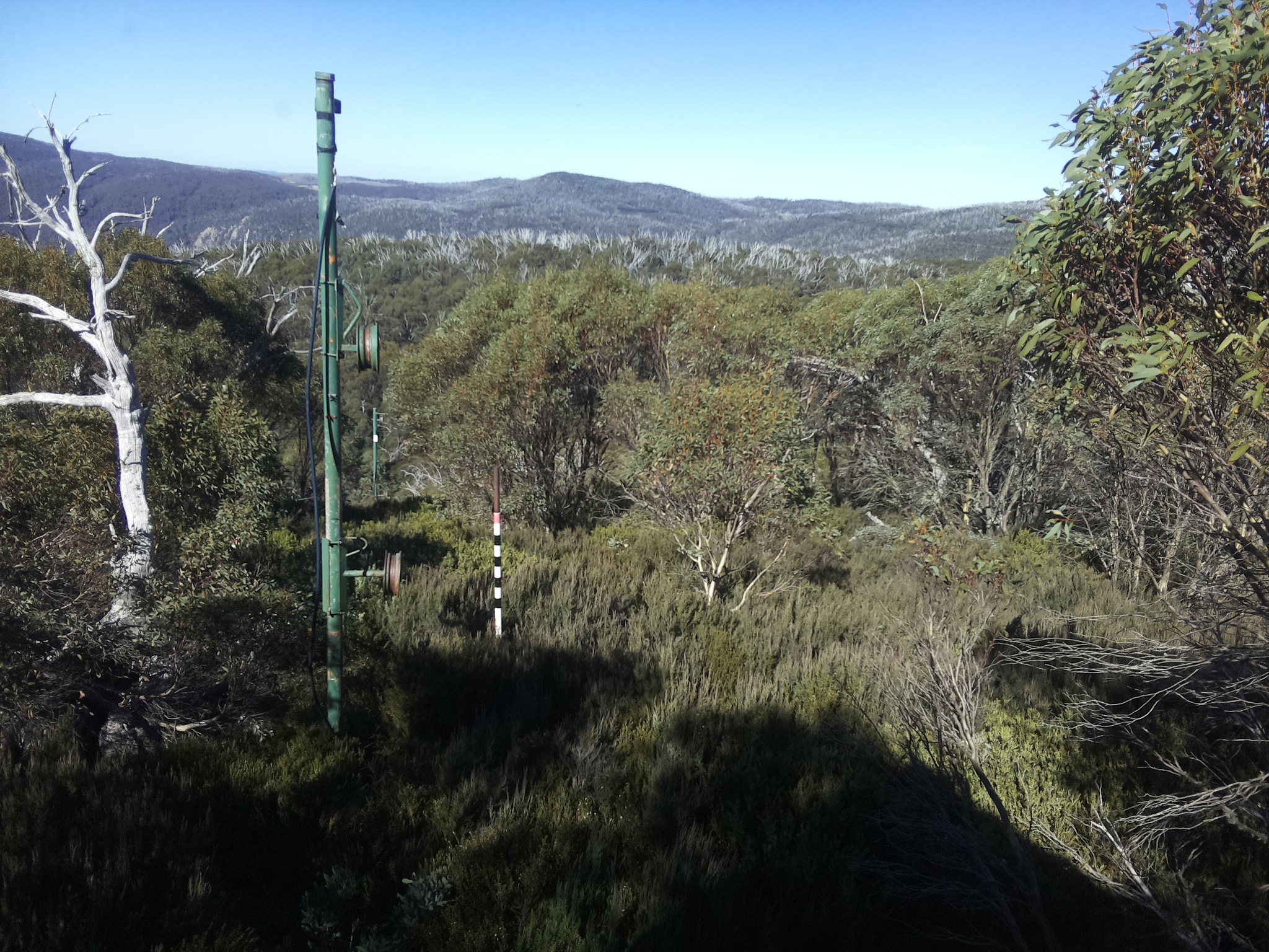 Bogong Web Cam 12:00pm Sunday 11th of May 2025
