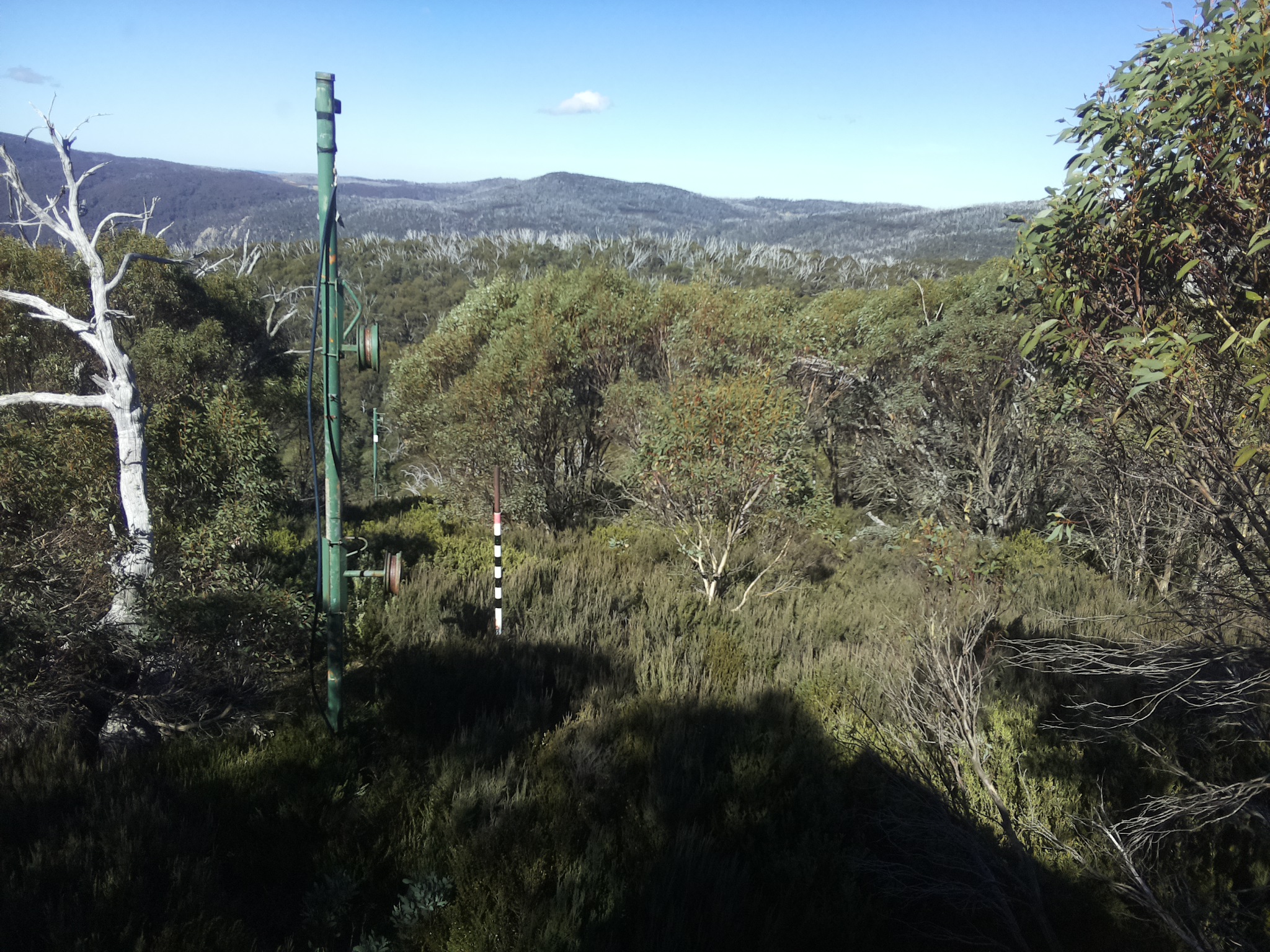 Bogong Web Cam 12:10pm Sunday 11th of May 2025