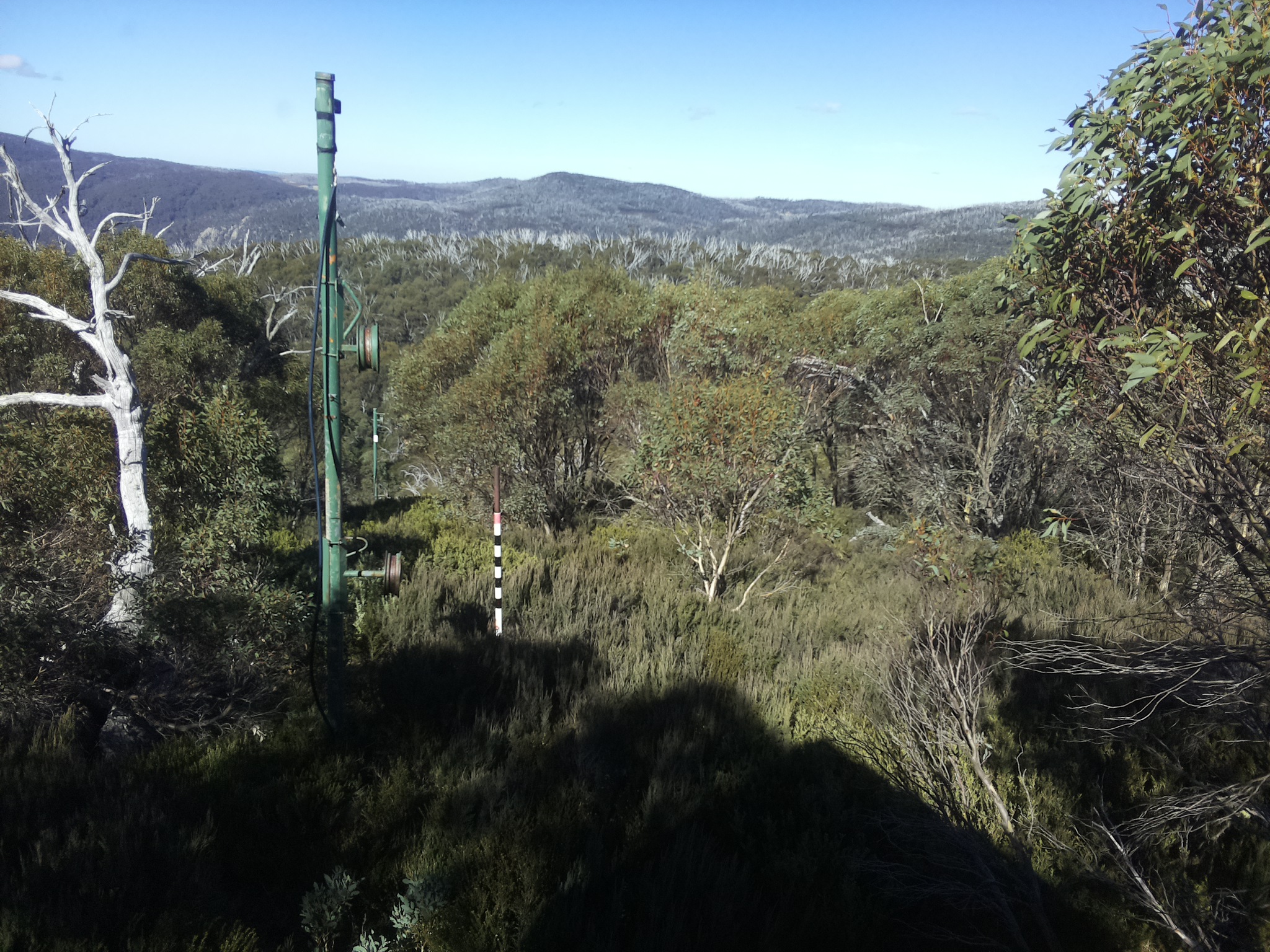 Bogong Web Cam 12:20pm Sunday 11th of May 2025