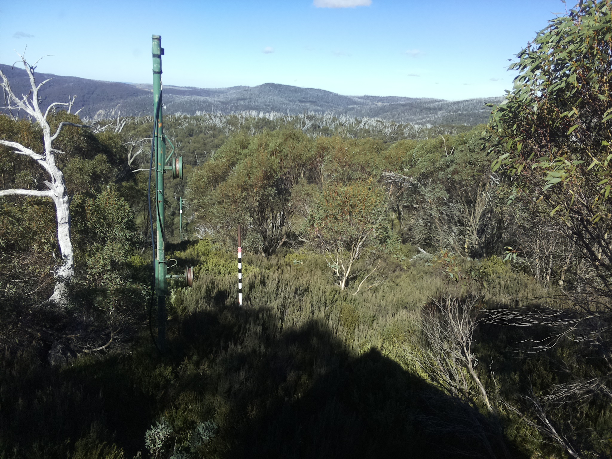 Bogong Web Cam 12:30pm Sunday 11th of May 2025