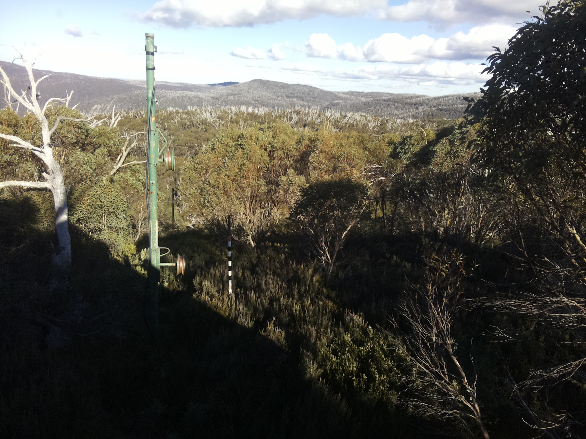 Bogong Web Cam 3:00pm Sunday 11th of May 2025