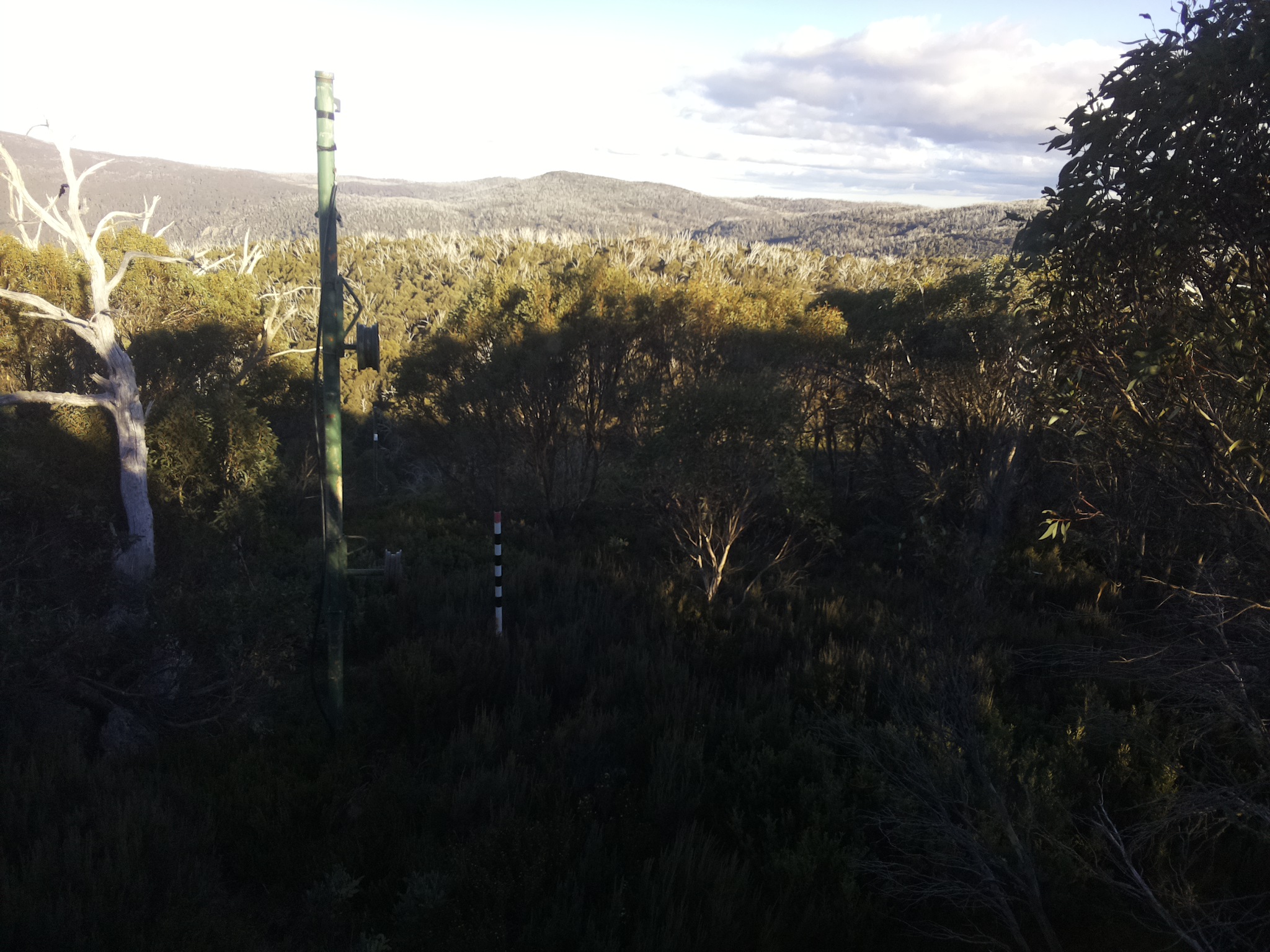 Bogong Web Cam 4:00pm Sunday 11th of May 2025