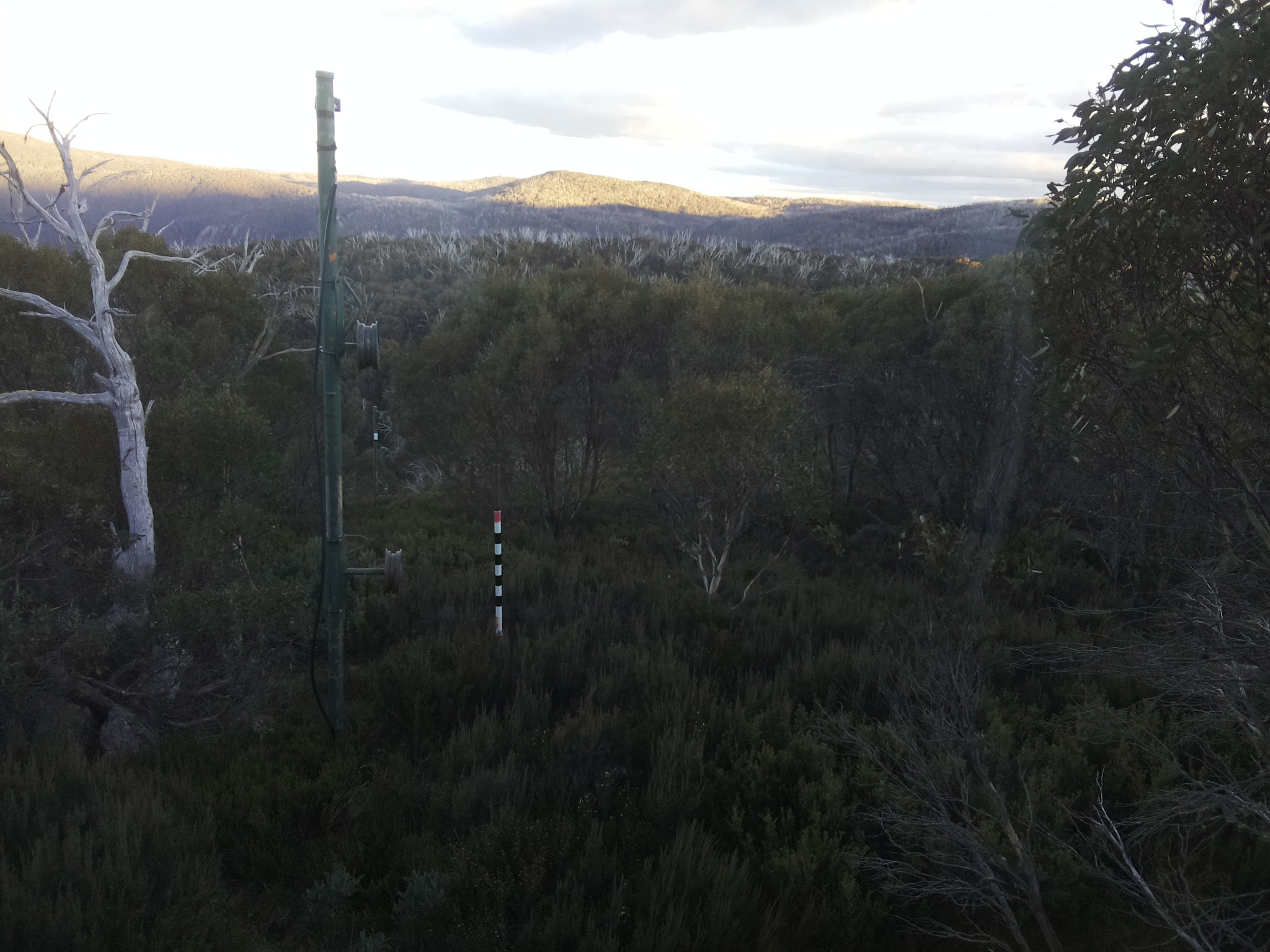 Bogong Web Cam 4:50pm Sunday 11th of May 2025