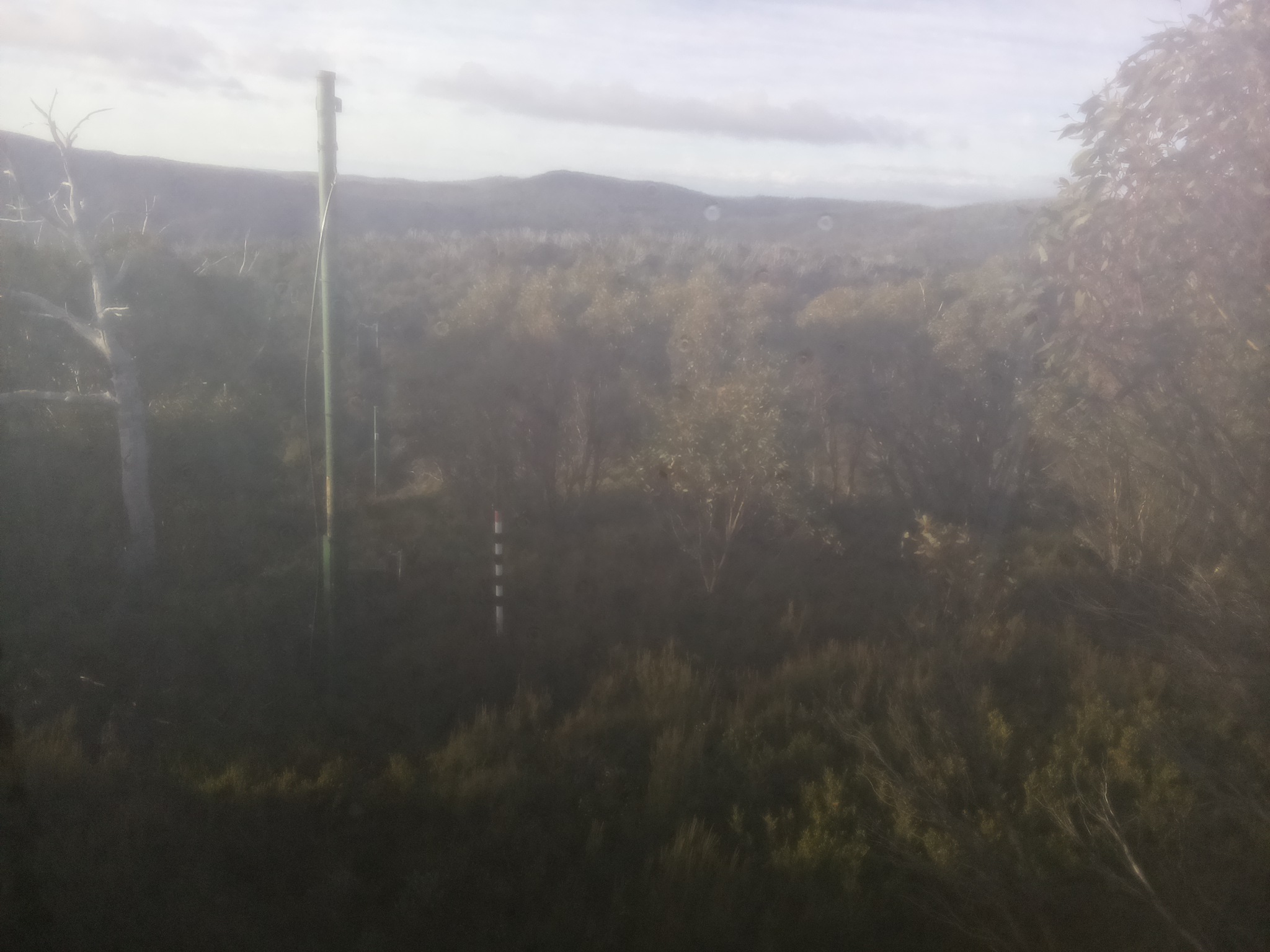 Bogong Web Cam 8:00am Monday 12th of May 2025
