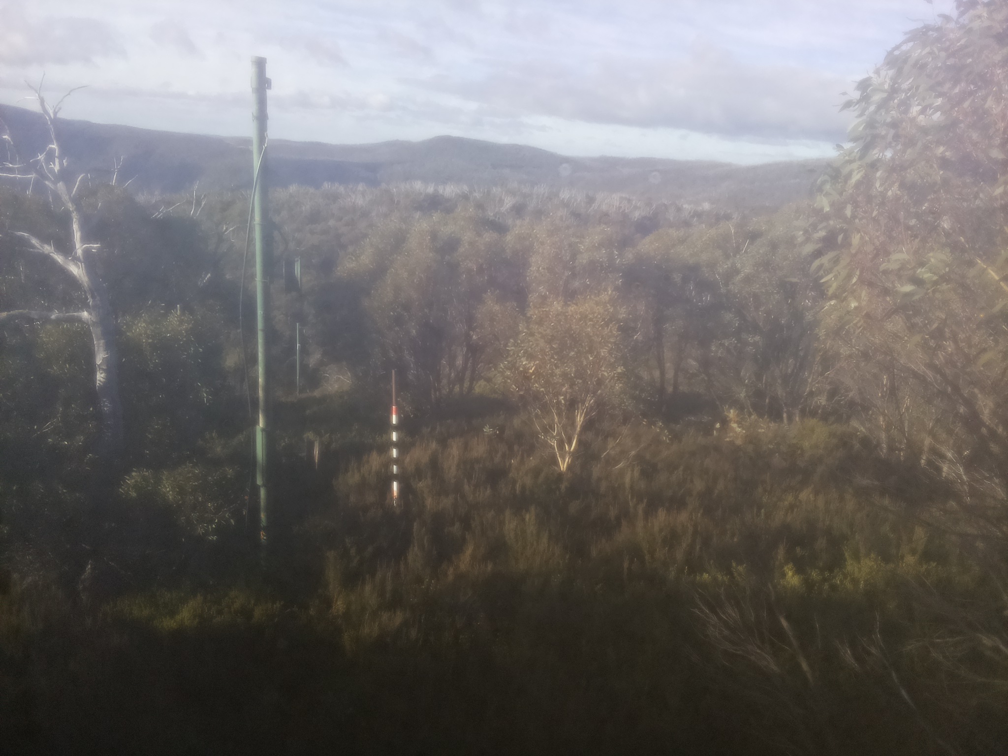 Bogong Web Cam 8:50am Monday 12th of May 2025