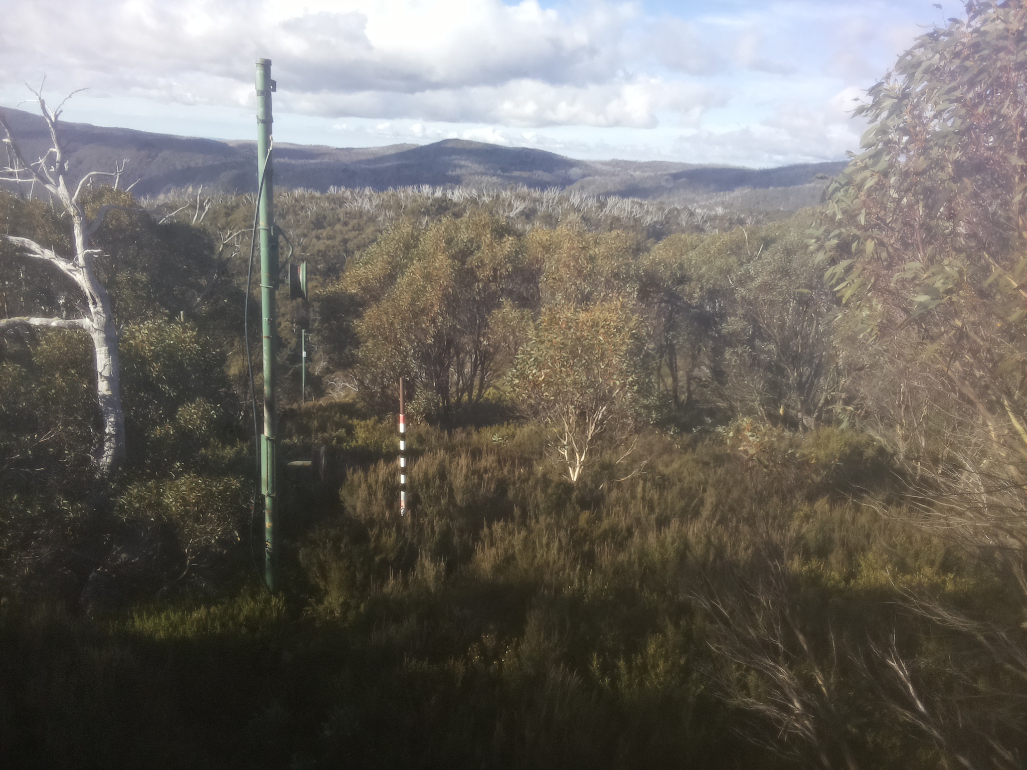 Bogong Web Cam 9:30am Monday 12th of May 2025