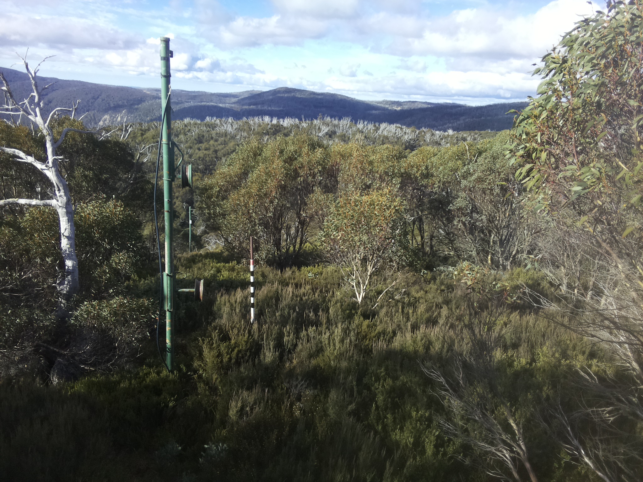Bogong Web Cam 9:50am Monday 12th of May 2025