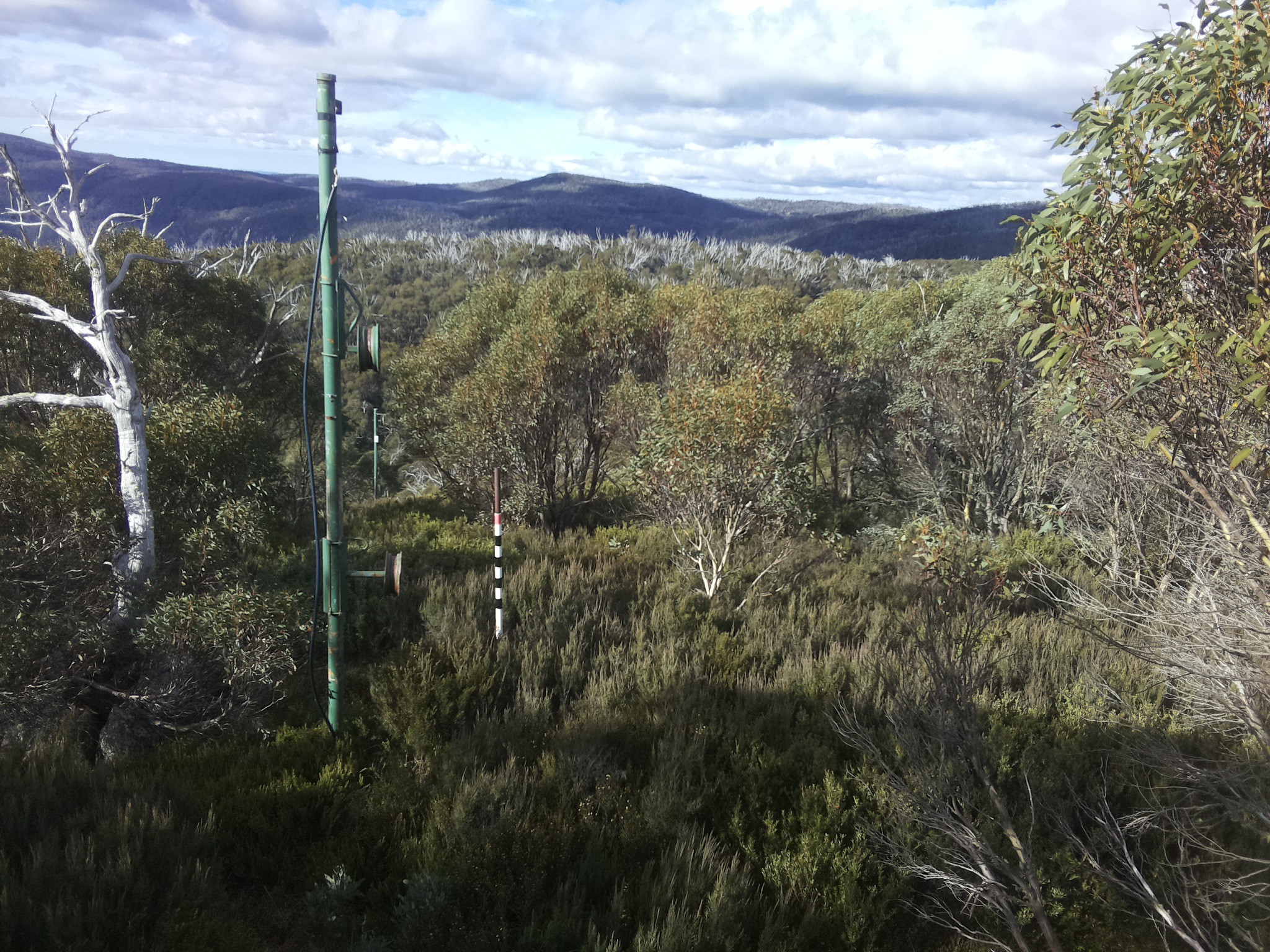 Bogong Web Cam 10:00am Monday 12th of May 2025