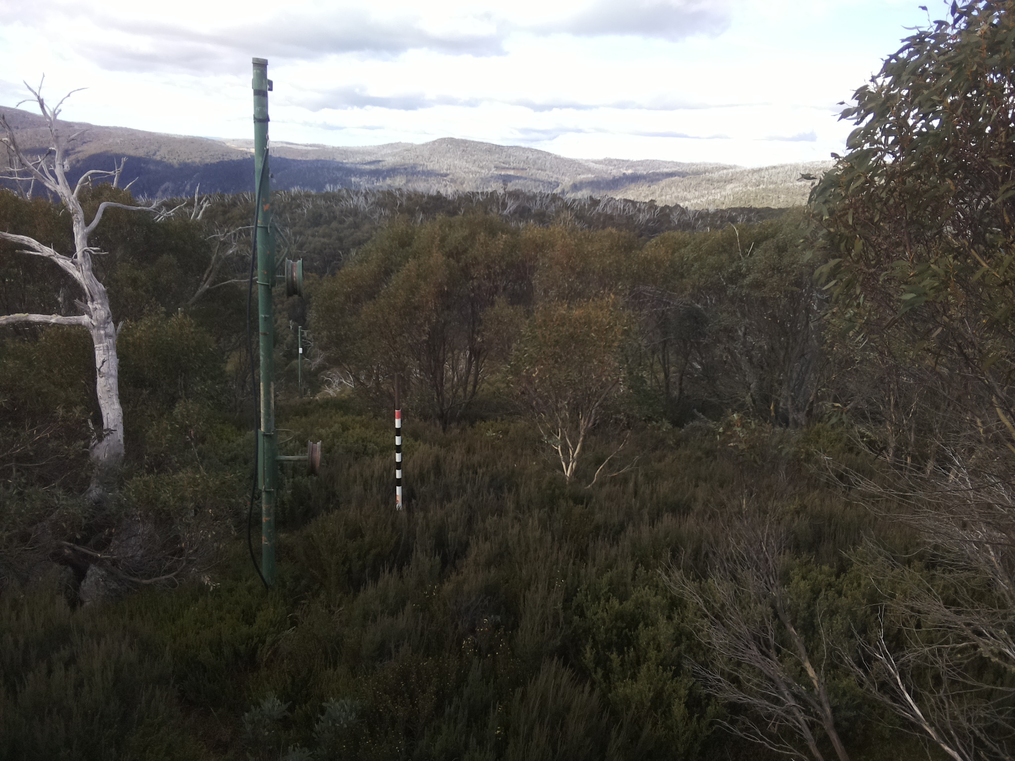 Bogong Web Cam 10:30am Monday 12th of May 2025