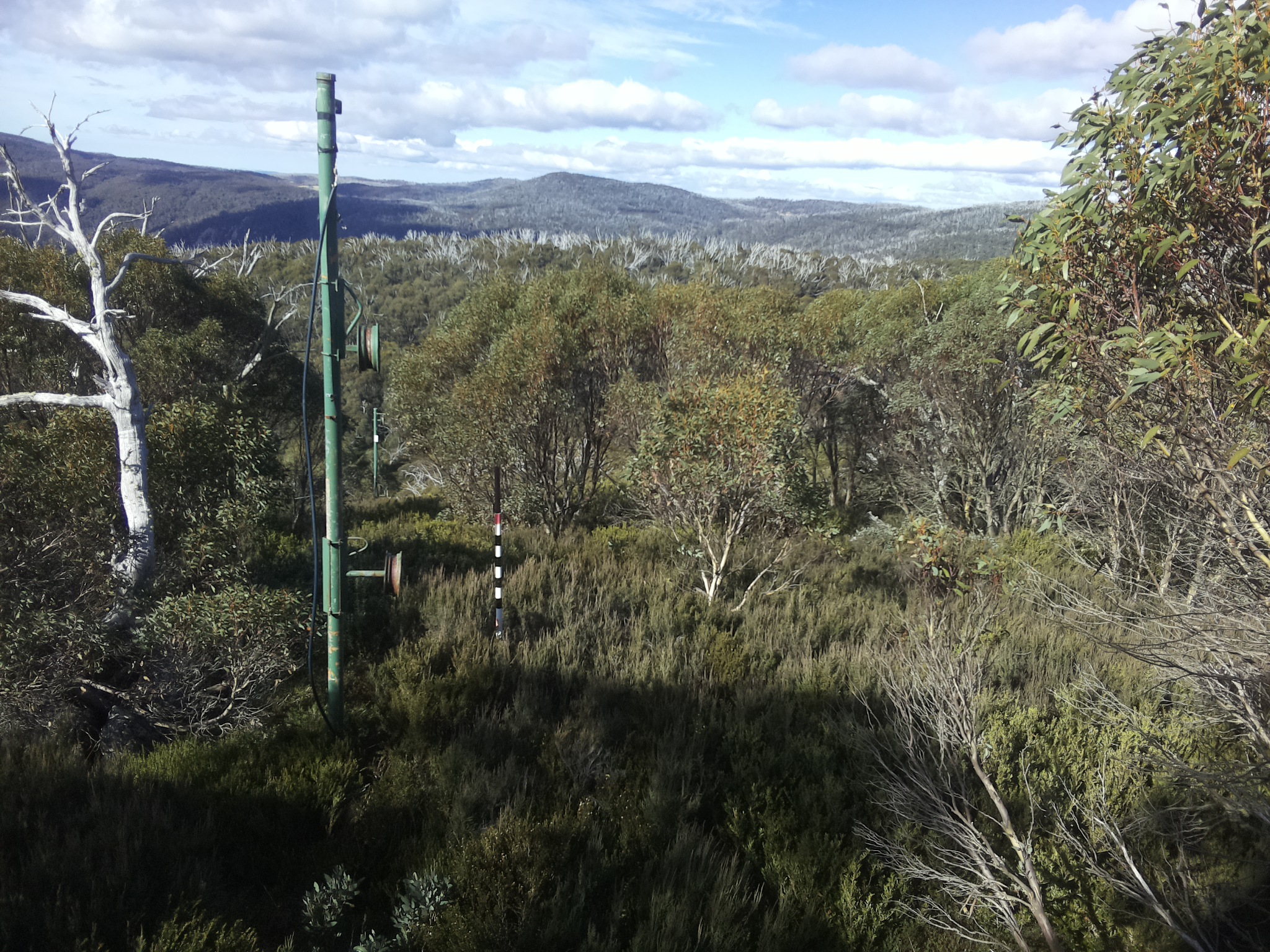 Bogong Web Cam 10:50am Monday 12th of May 2025