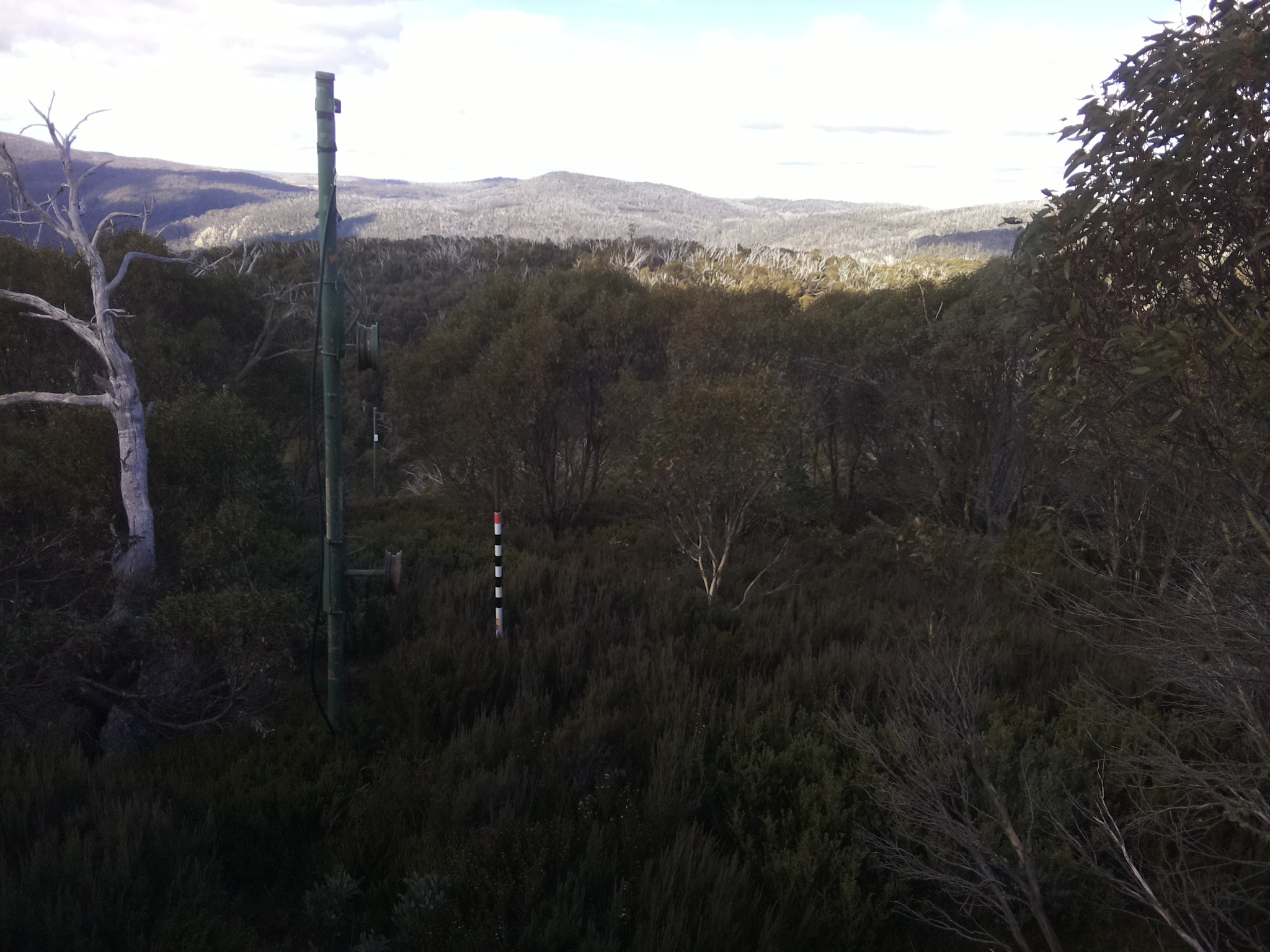 Bogong Web Cam 11:00am Monday 12th of May 2025