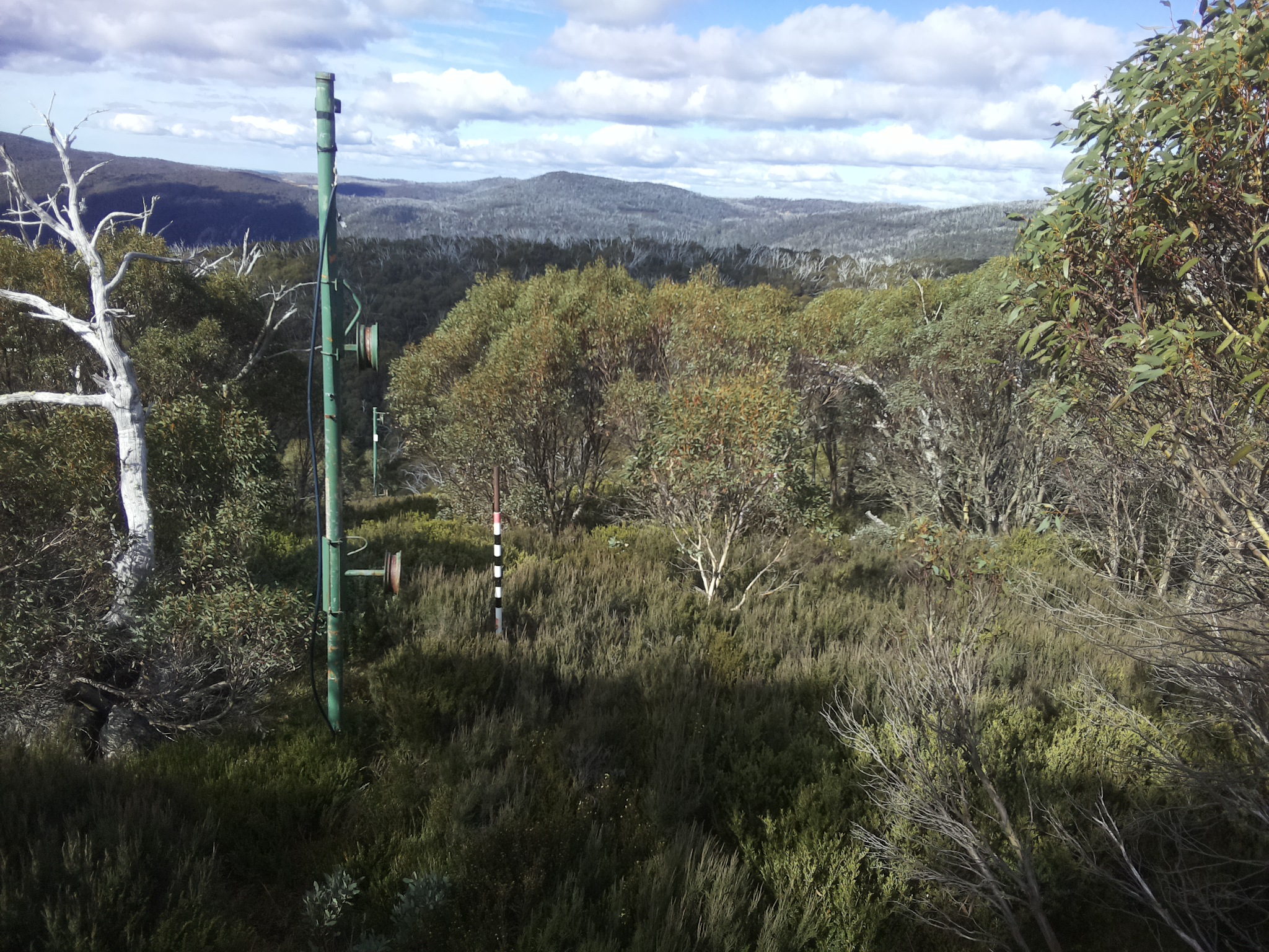 Bogong Web Cam 11:10am Monday 12th of May 2025