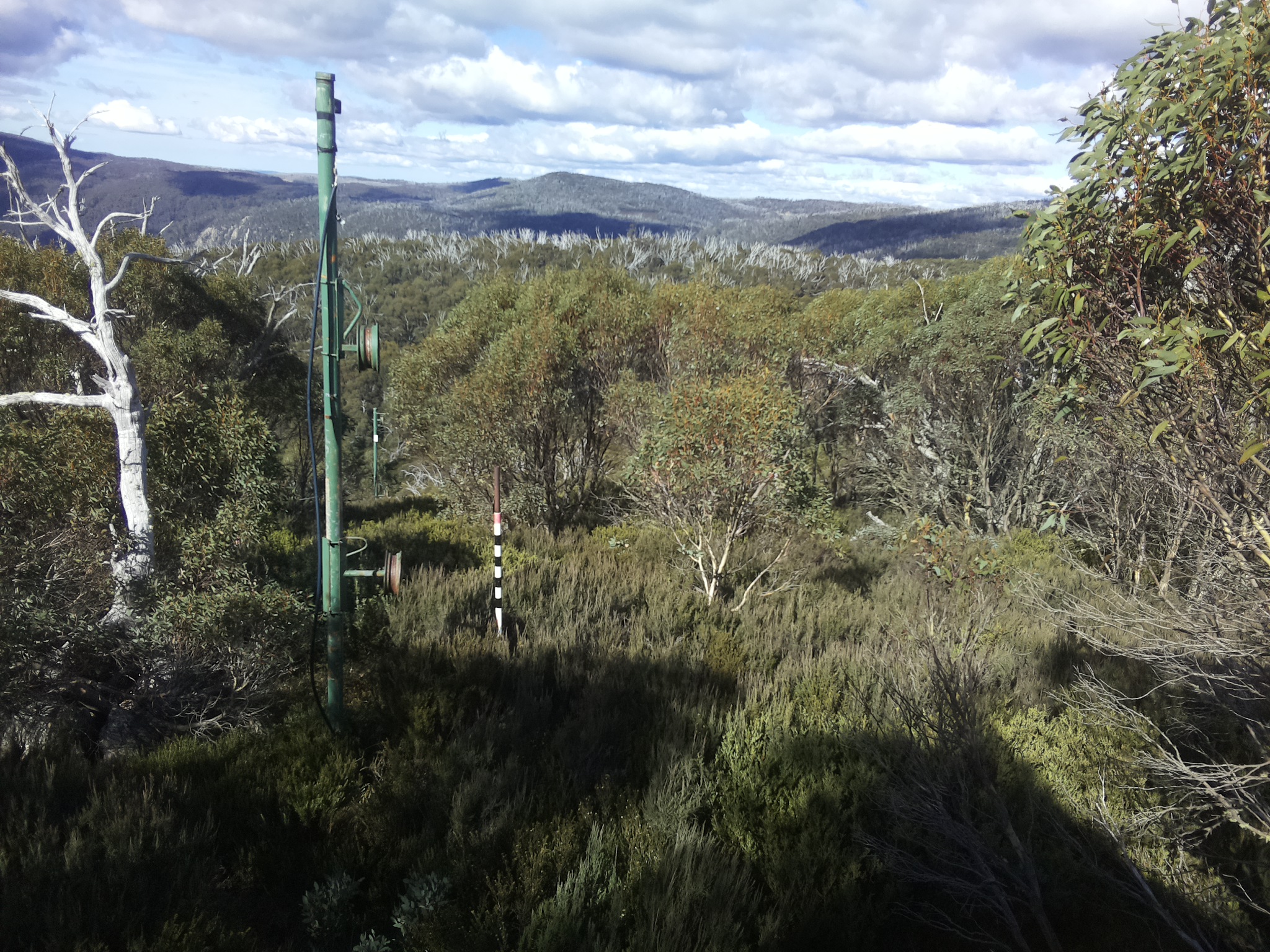 Bogong Web Cam 11:40am Monday 12th of May 2025
