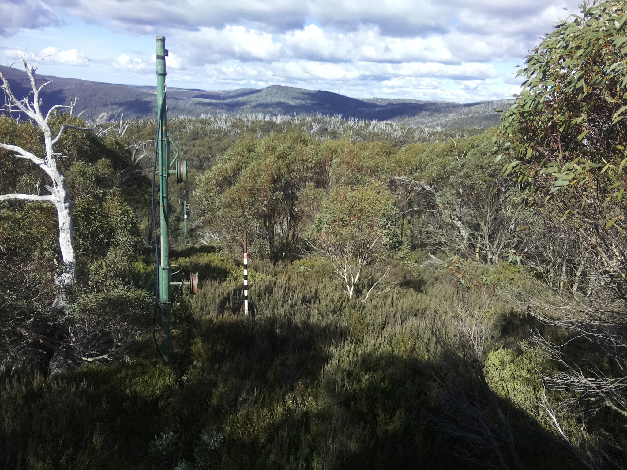 Bogong Web Cam 11:50am Monday 12th of May 2025