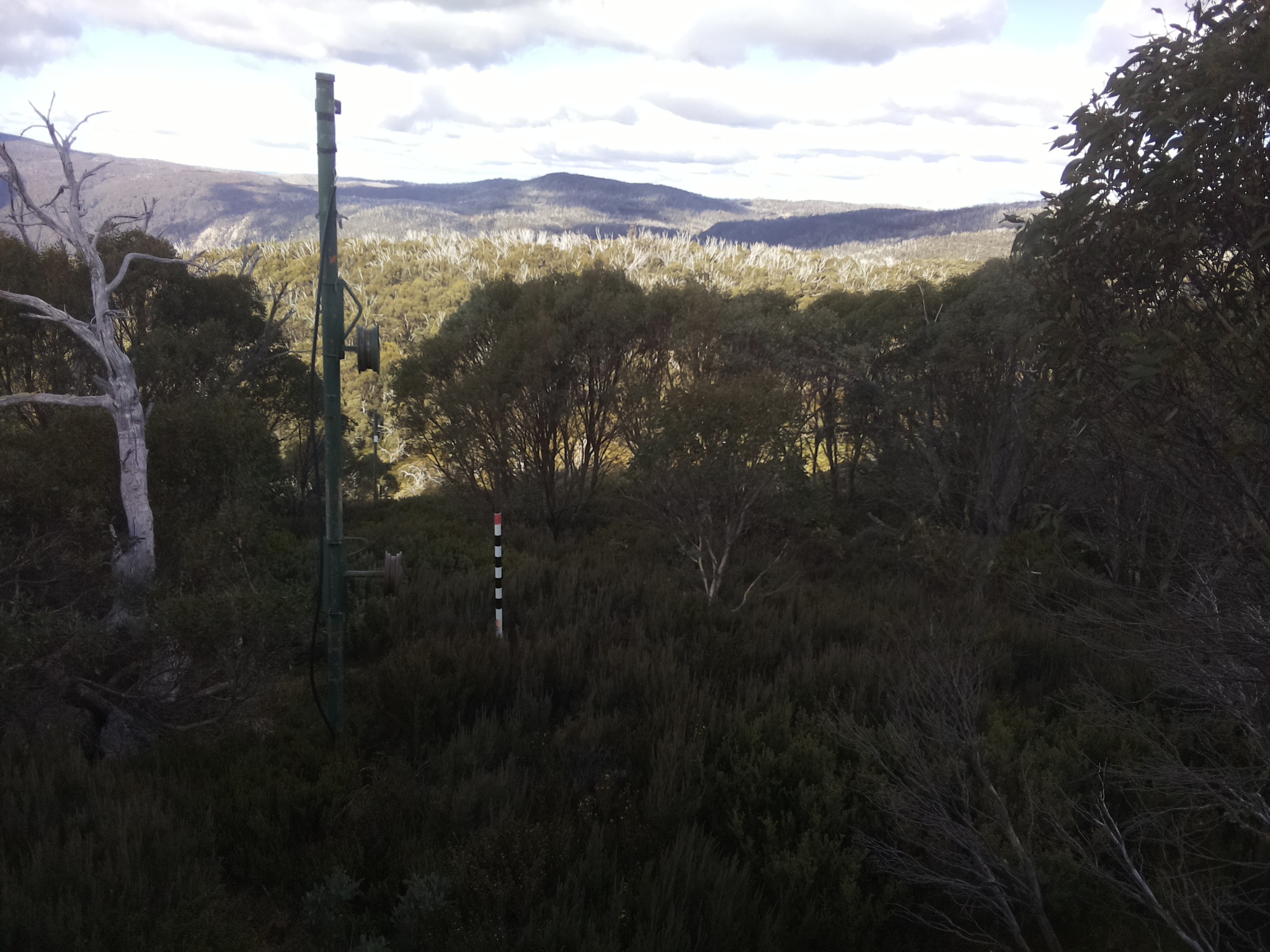 Bogong Web Cam 12:00pm Monday 12th of May 2025