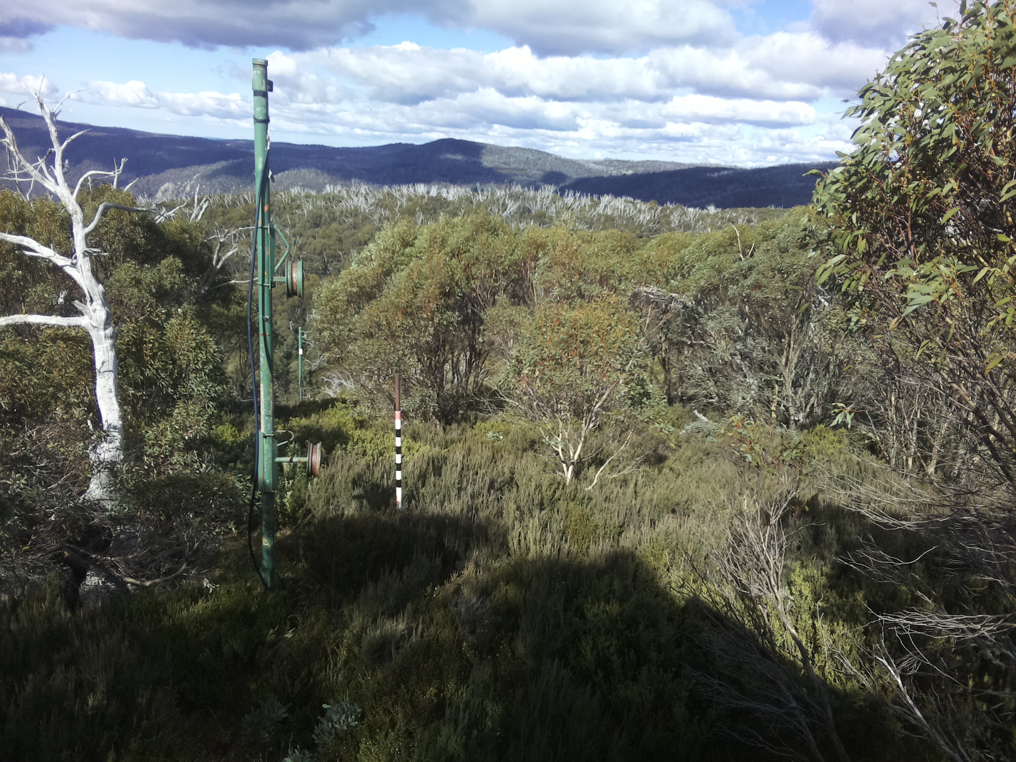Bogong Web Cam 12:10pm Monday 12th of May 2025