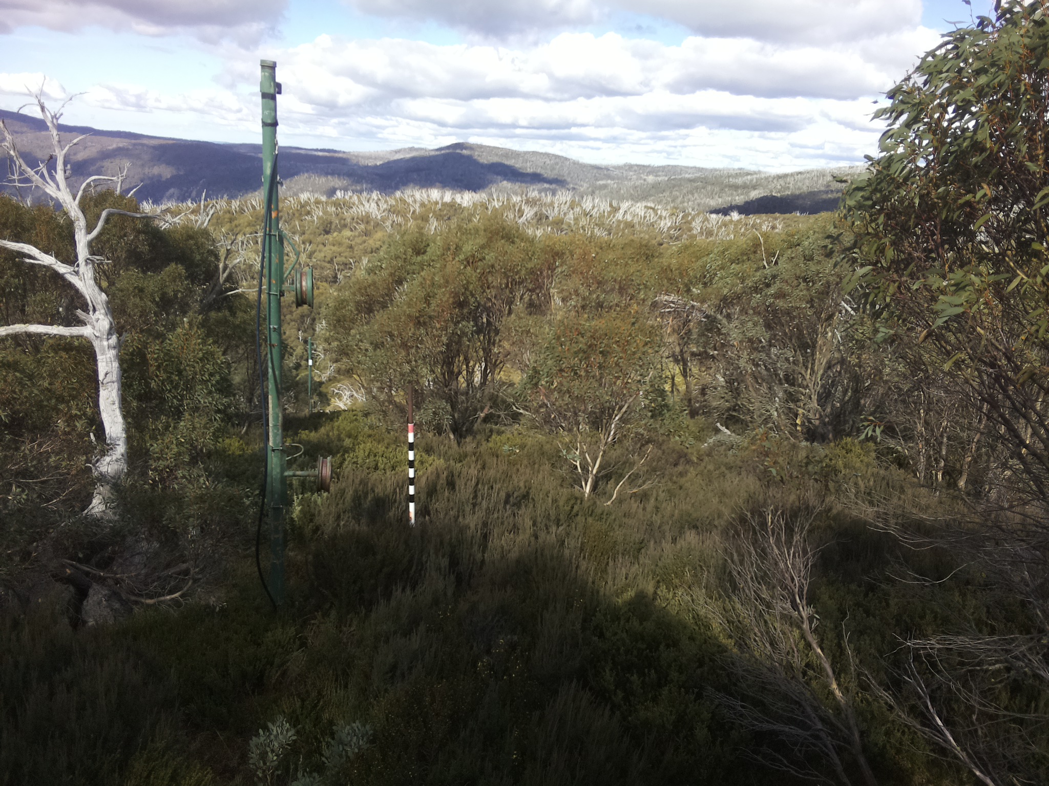 Bogong Web Cam 12:30pm Monday 12th of May 2025