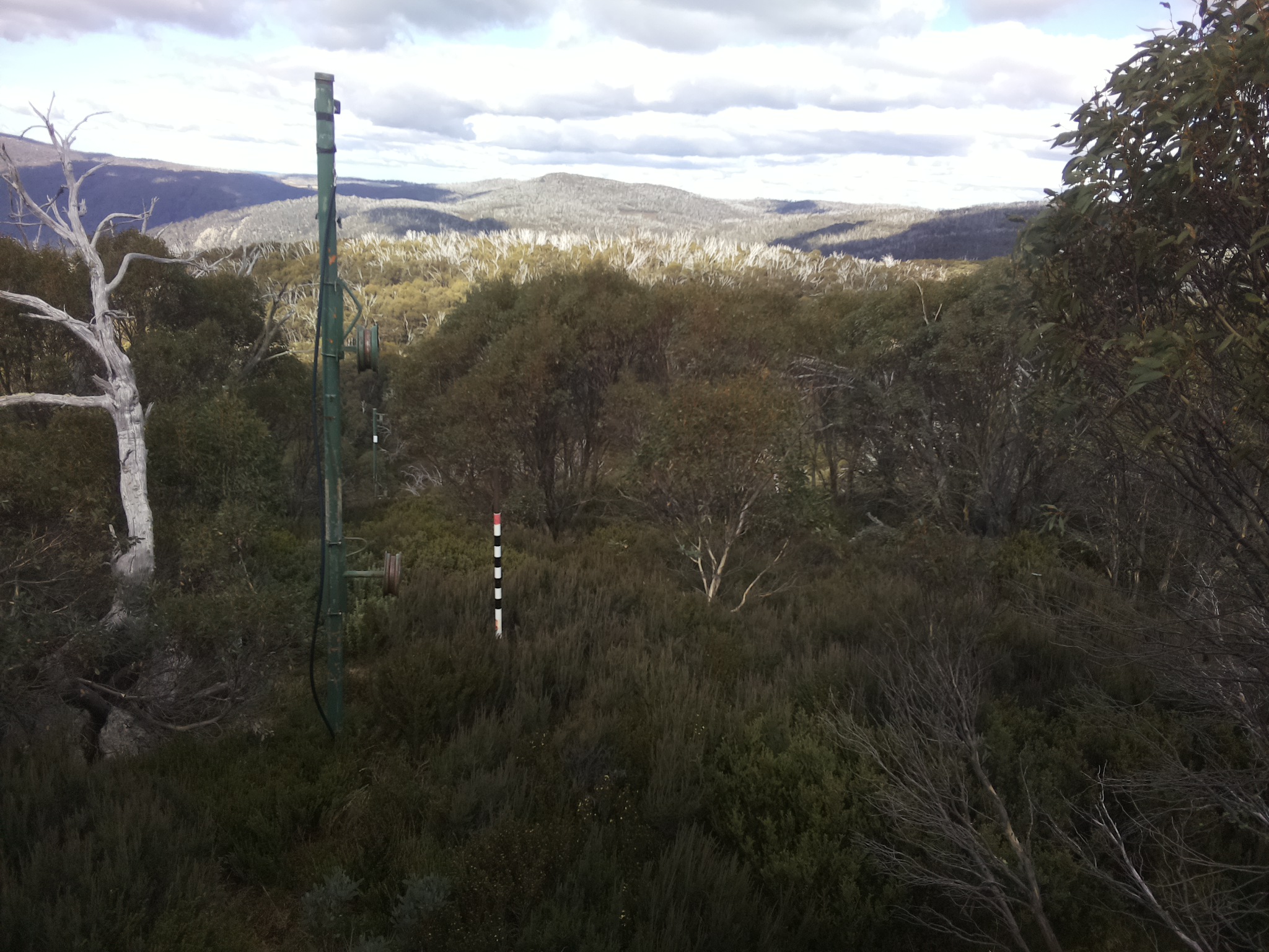 Bogong Web Cam 12:40pm Monday 12th of May 2025