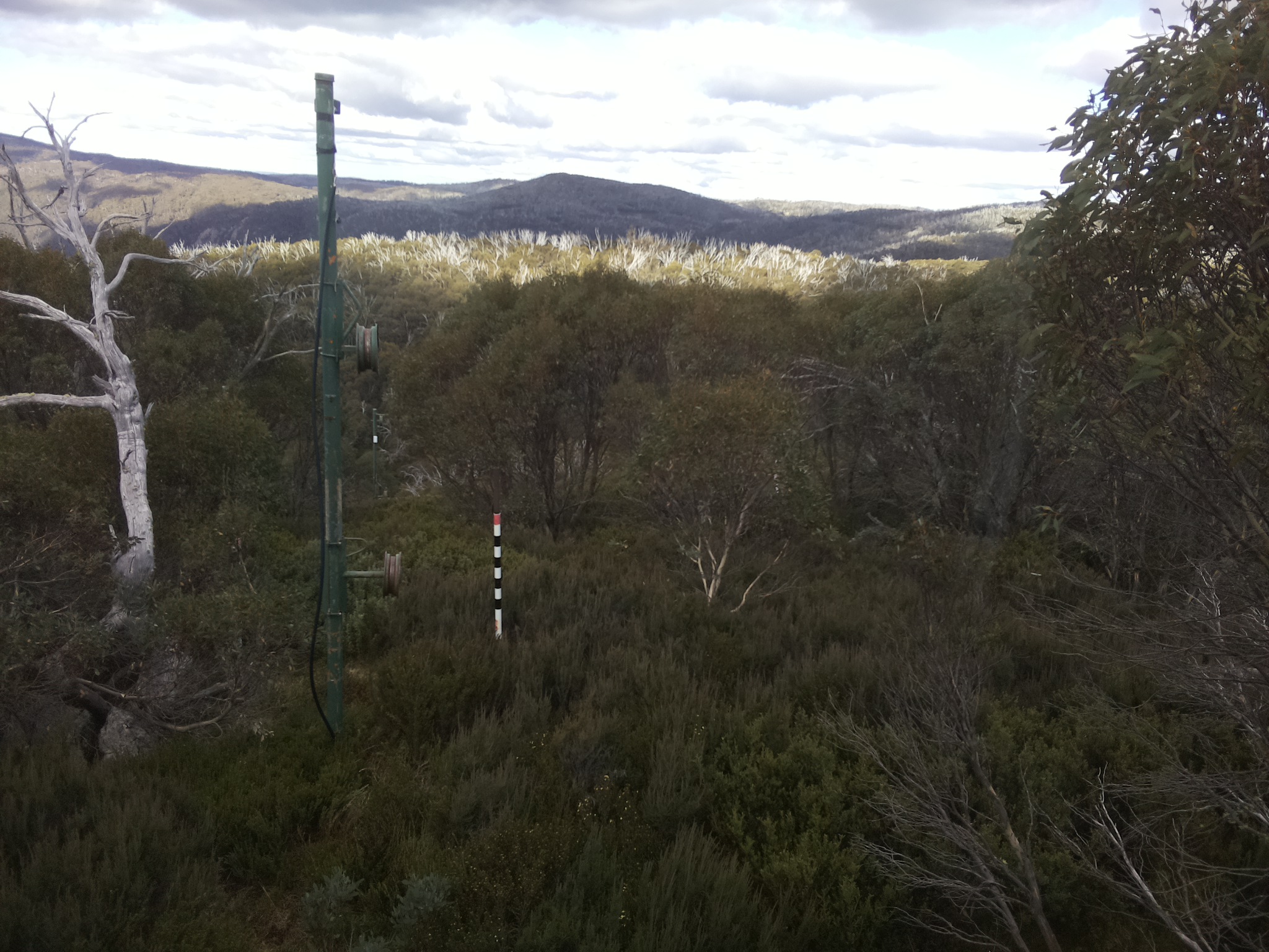 Bogong Web Cam 1:10pm Monday 12th of May 2025